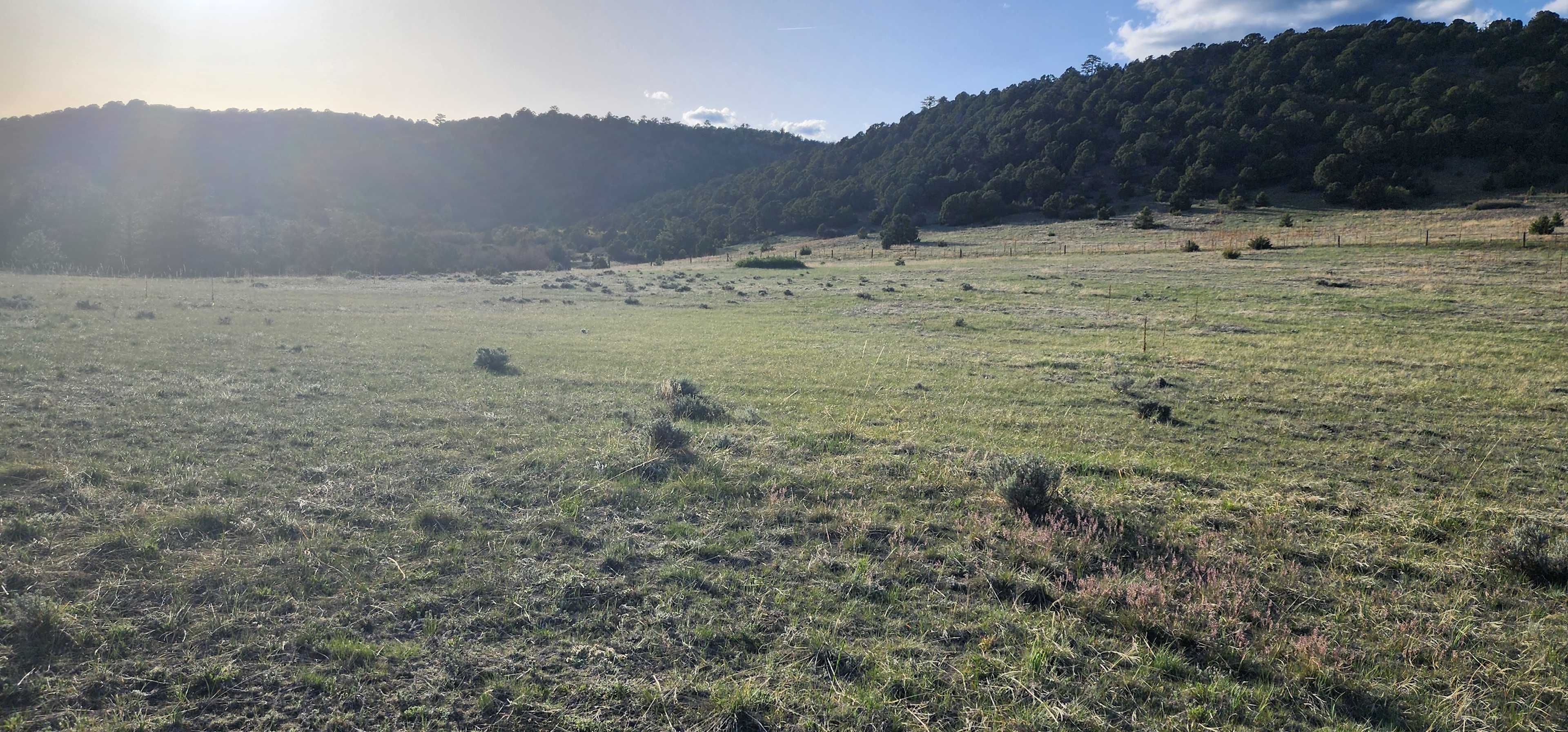 View surrounding our camping spot 