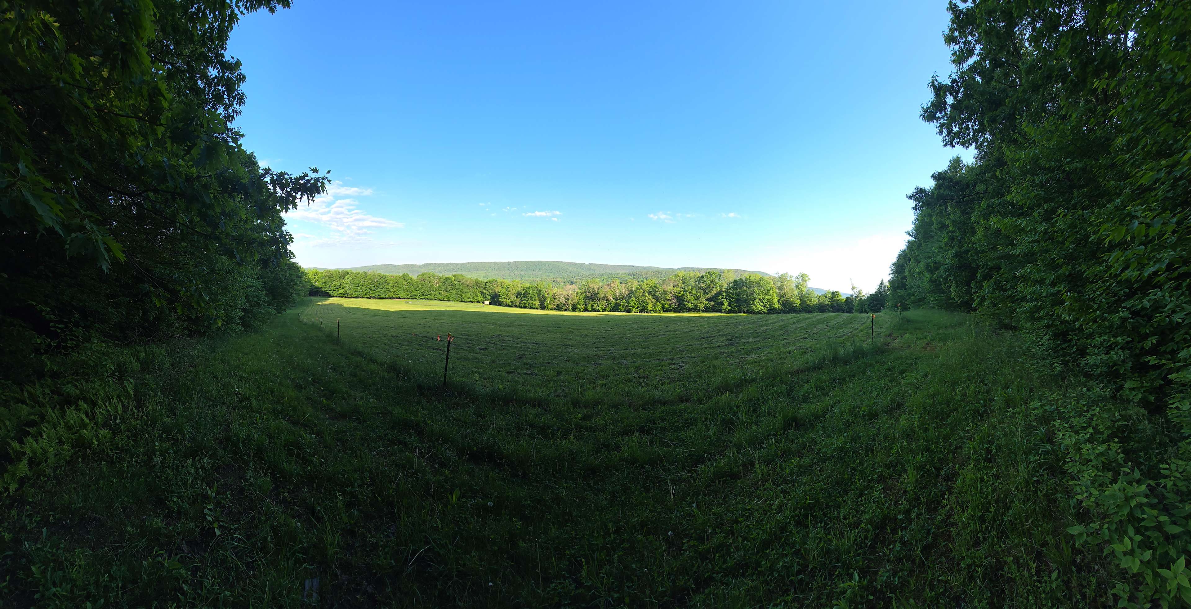 Cherry Plain Sanctuary Farm