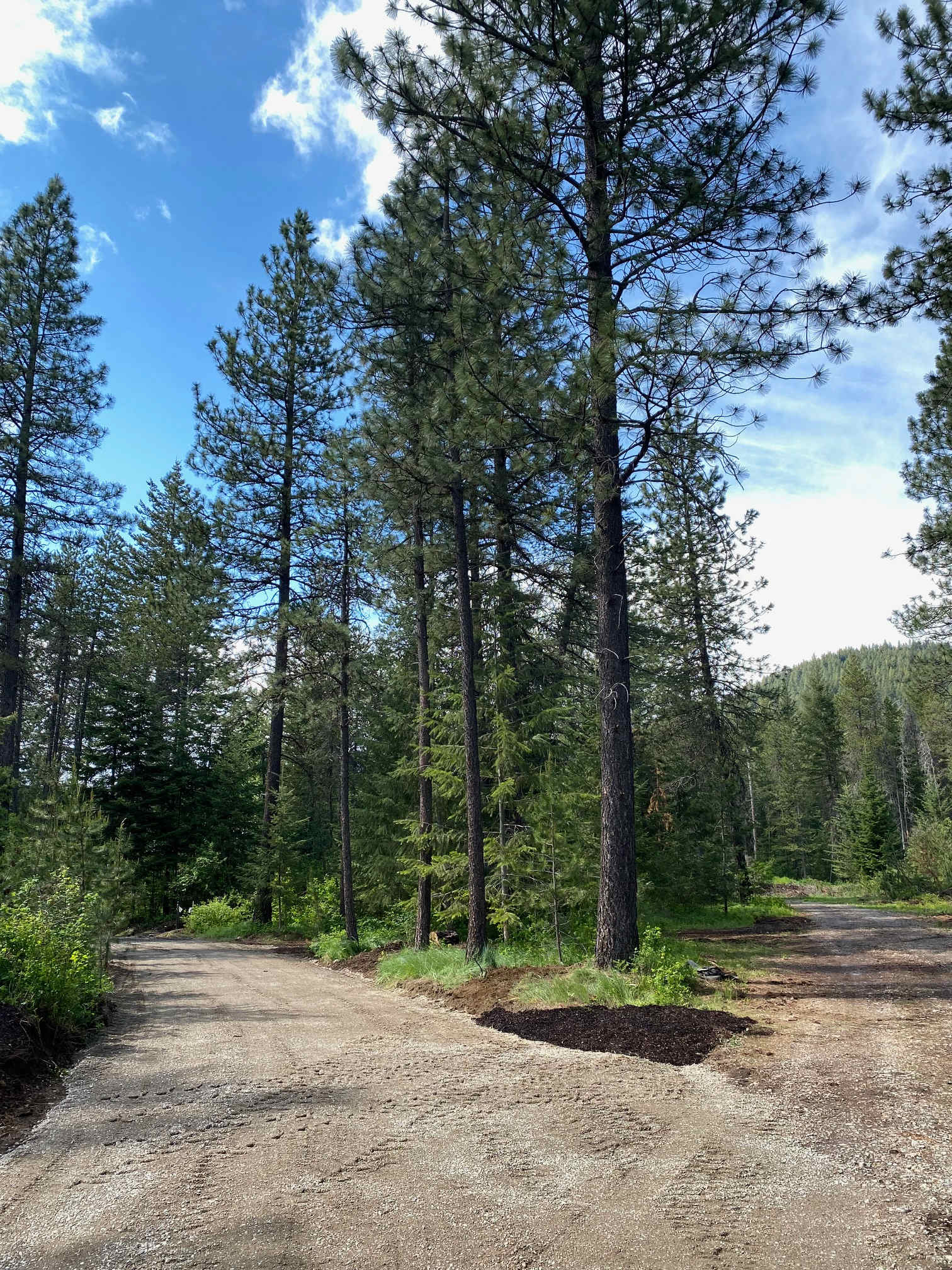 Round Mountain Camp