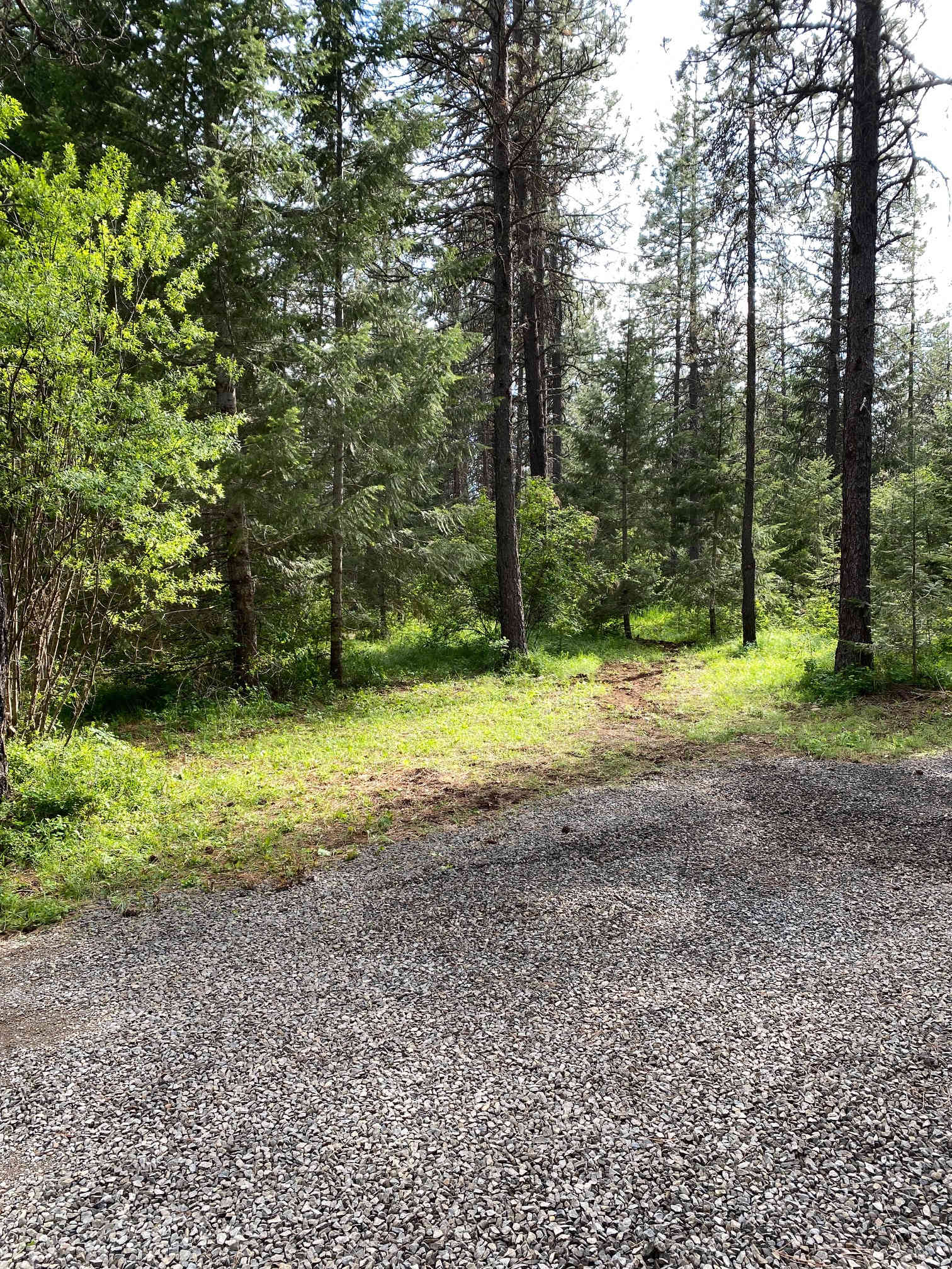 Round Mountain Camp