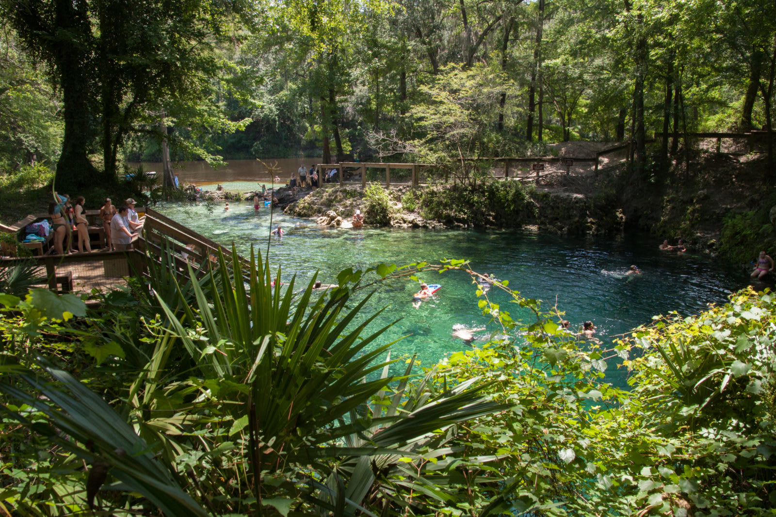 Cassia Hill Near Blue Springs