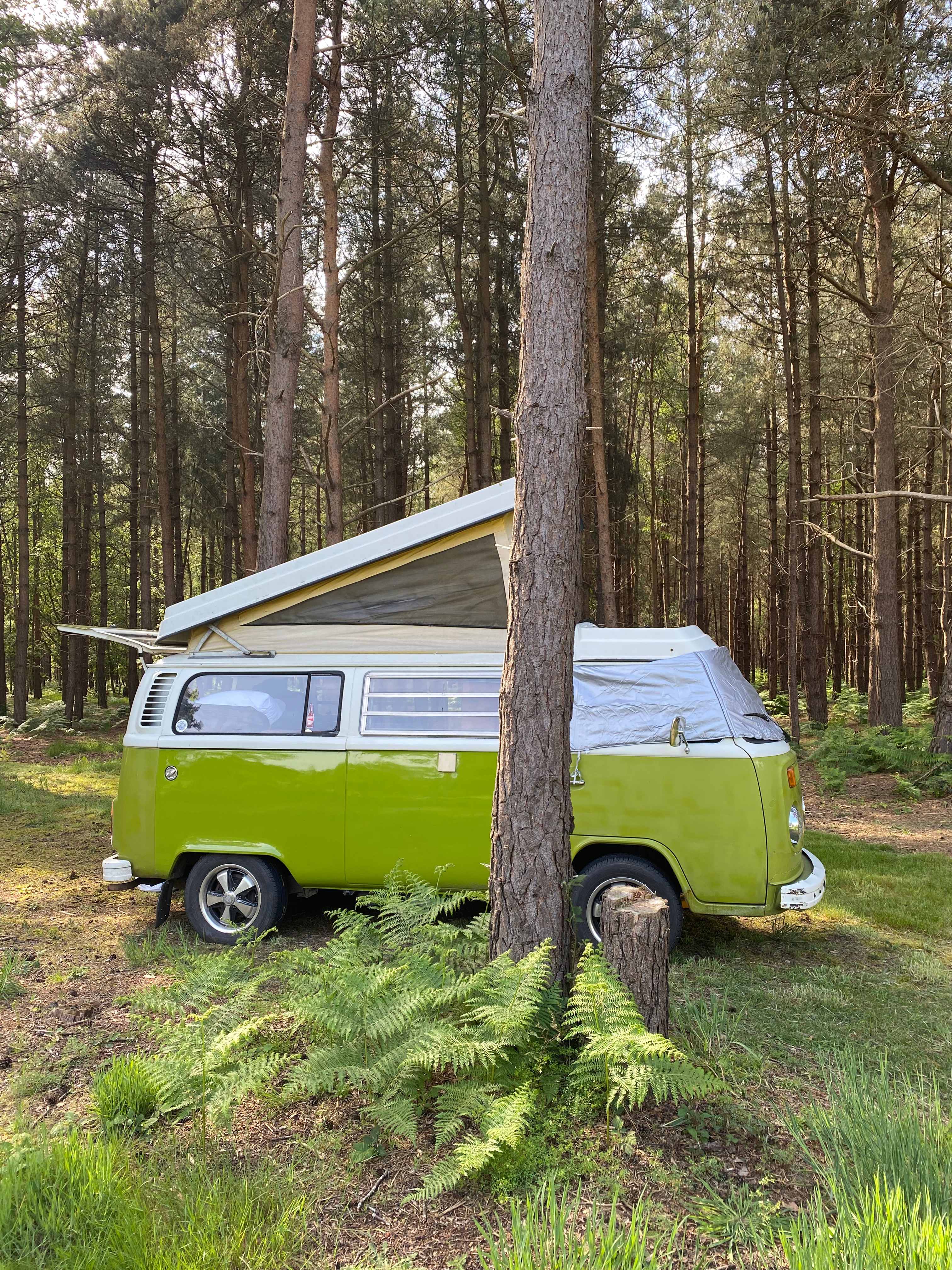 Holistic Woods Campsite WILD