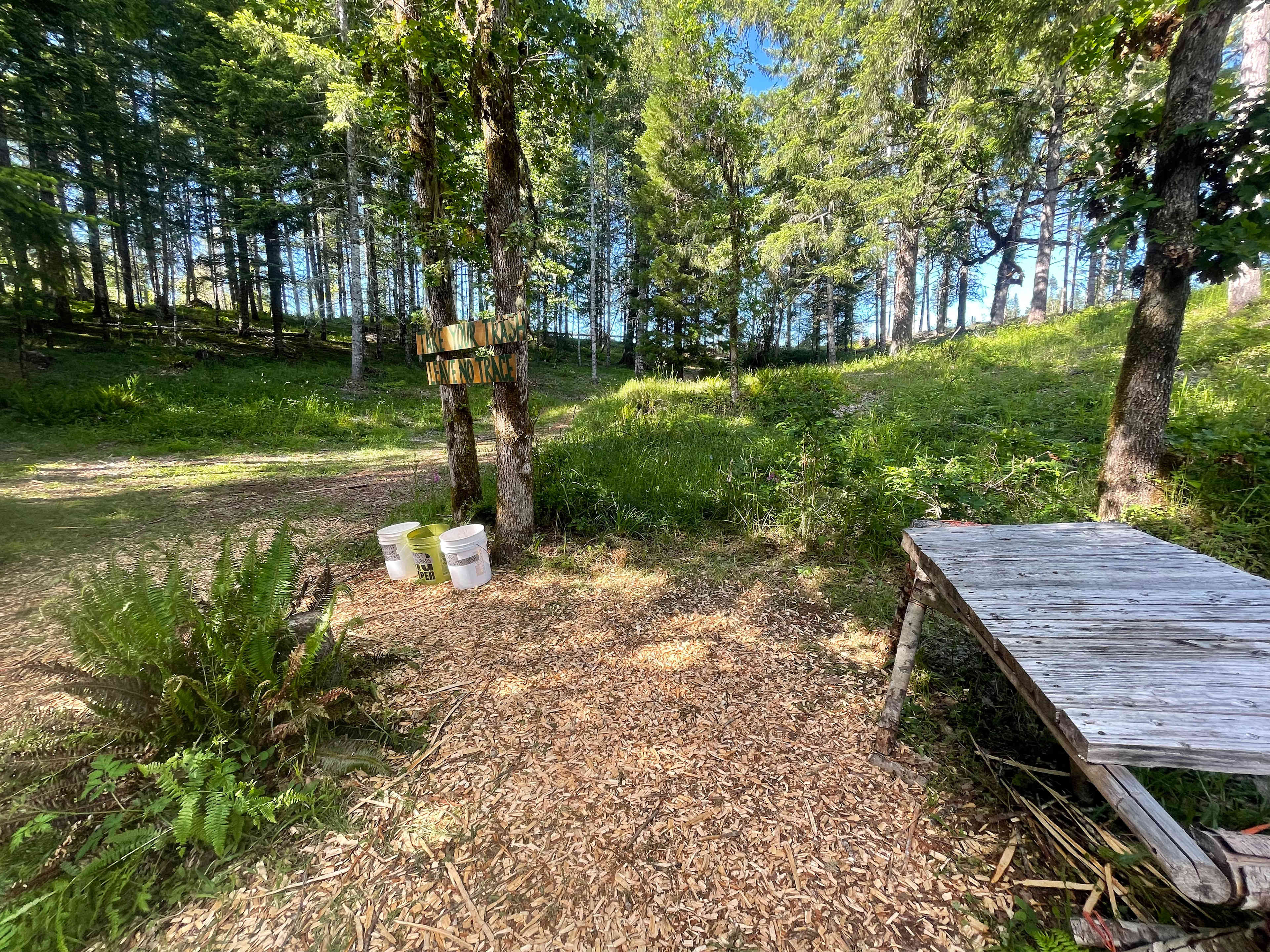 Picture of the site