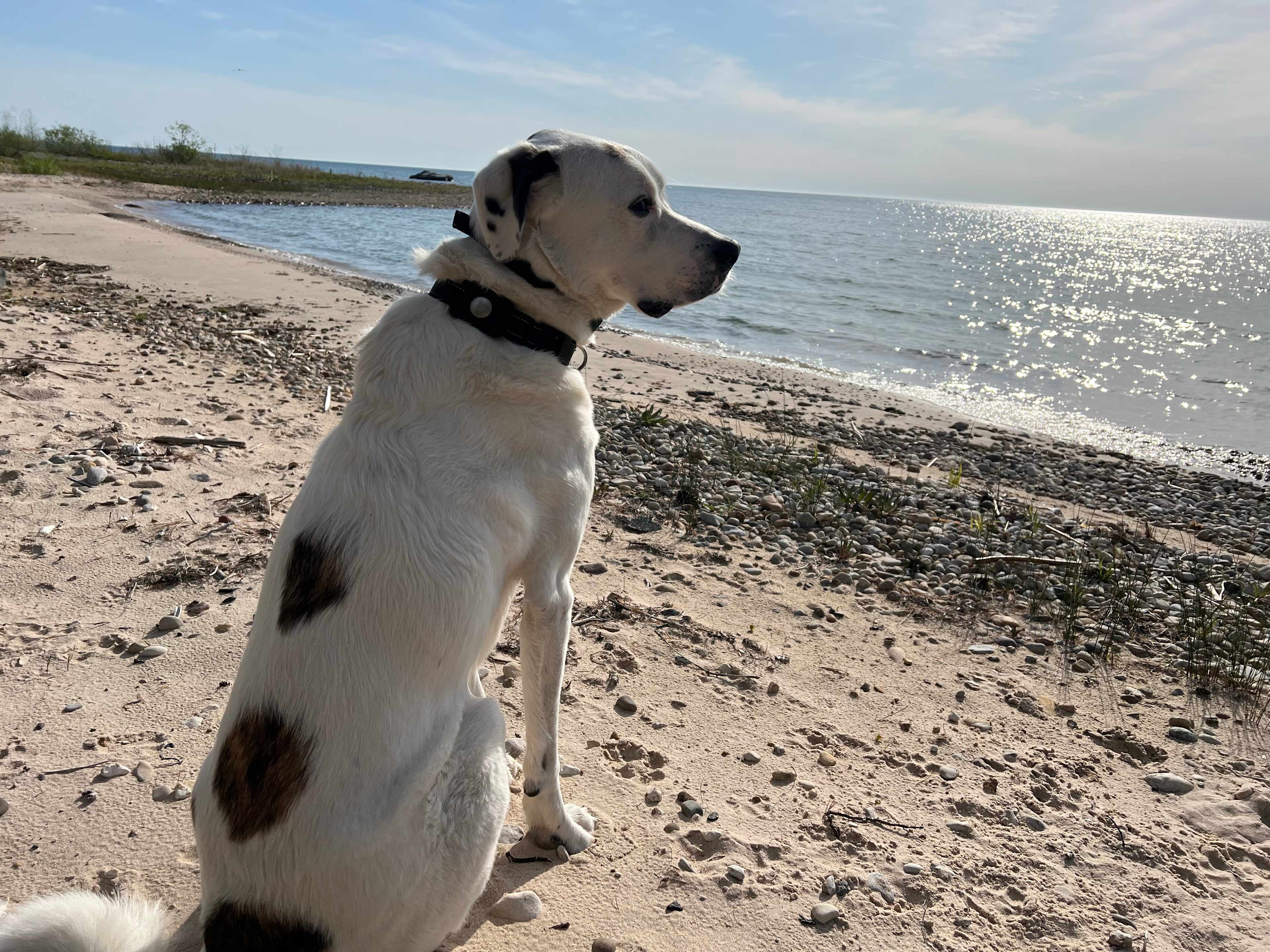 Lake Huron Private Campspot/Ocqueoc