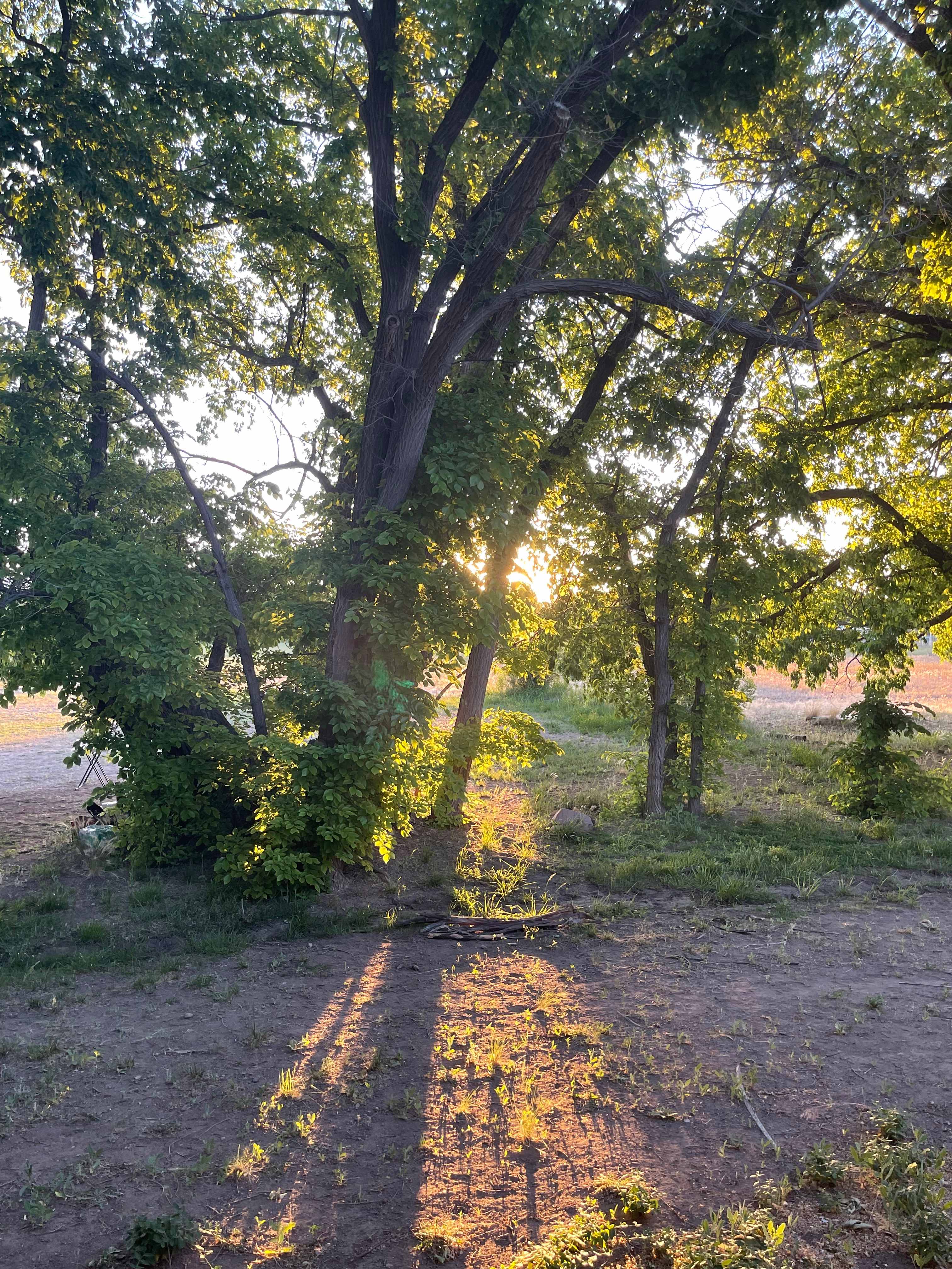 ESCAPE to the L.C. Ranch , Gila NM