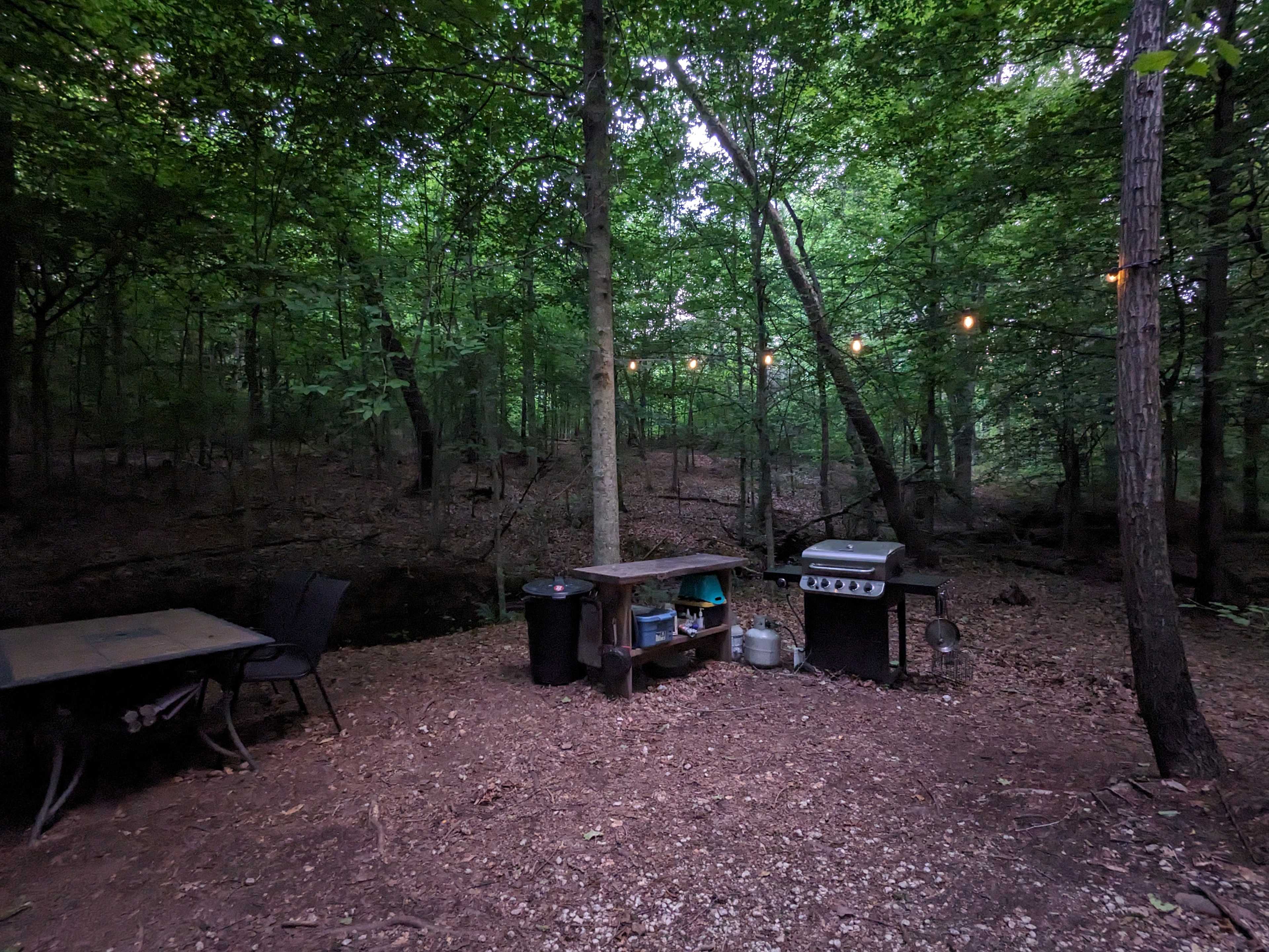Dining table, grill with propane, and extra prep space