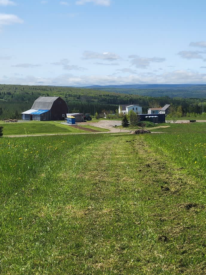 On a hill overlooking the farm buildings.