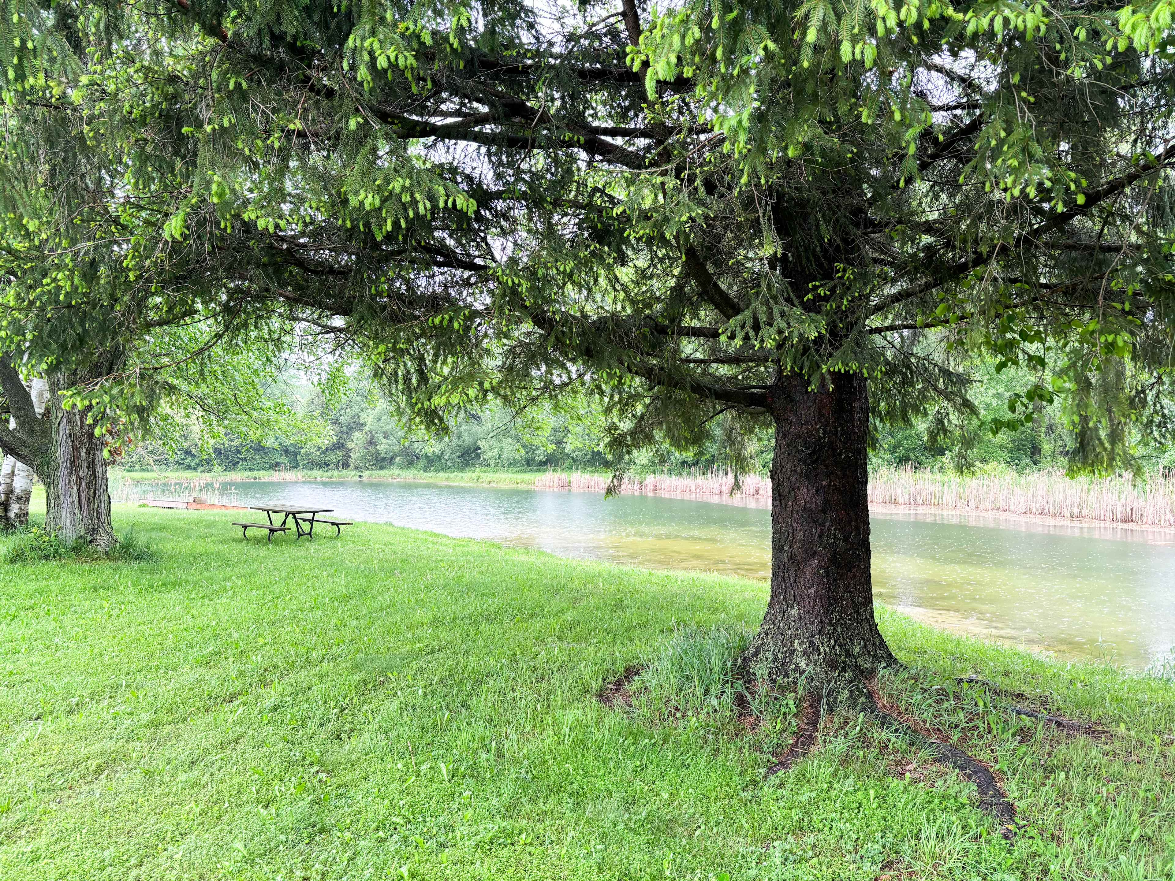Hidden Oasis Near Elora