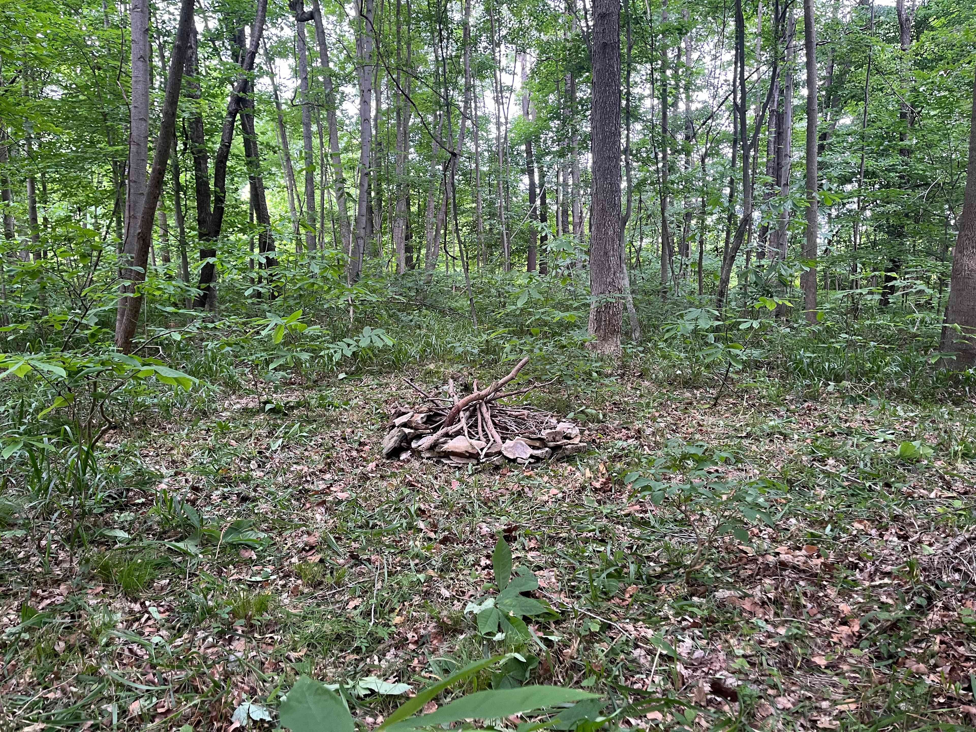 Sunset Farms Camping And Hiking