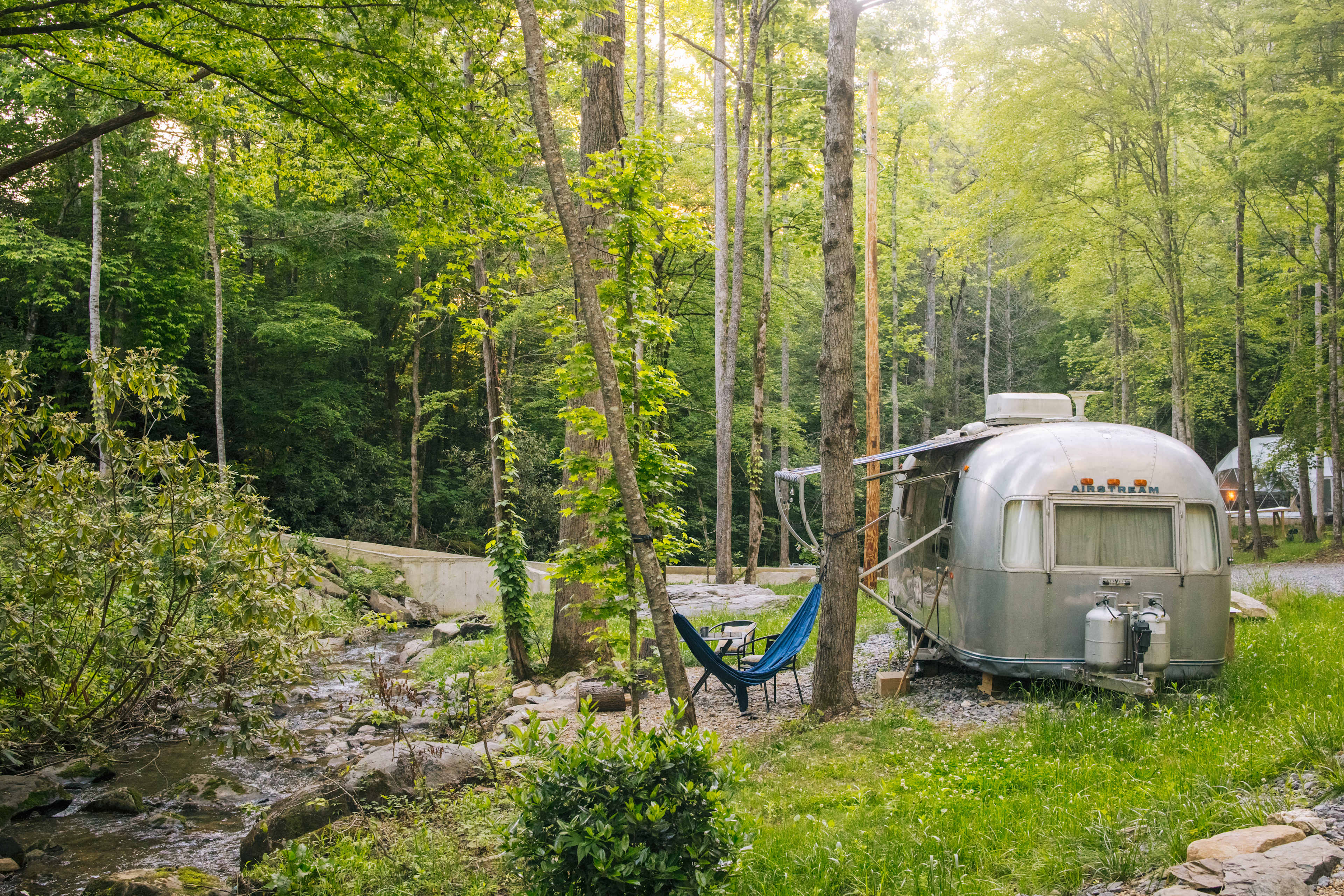 Wanderlust Woods