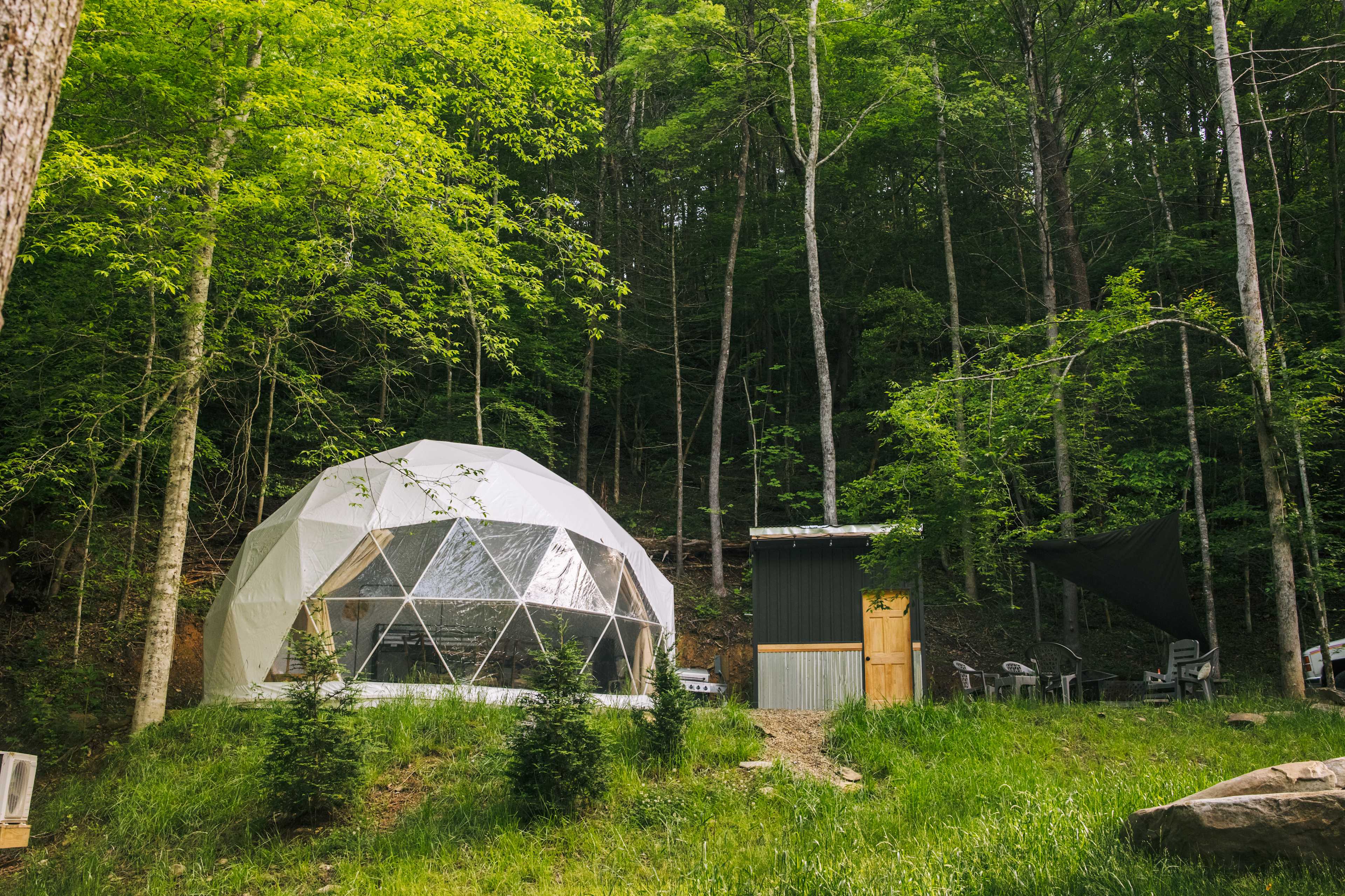 Bell Perch Dome