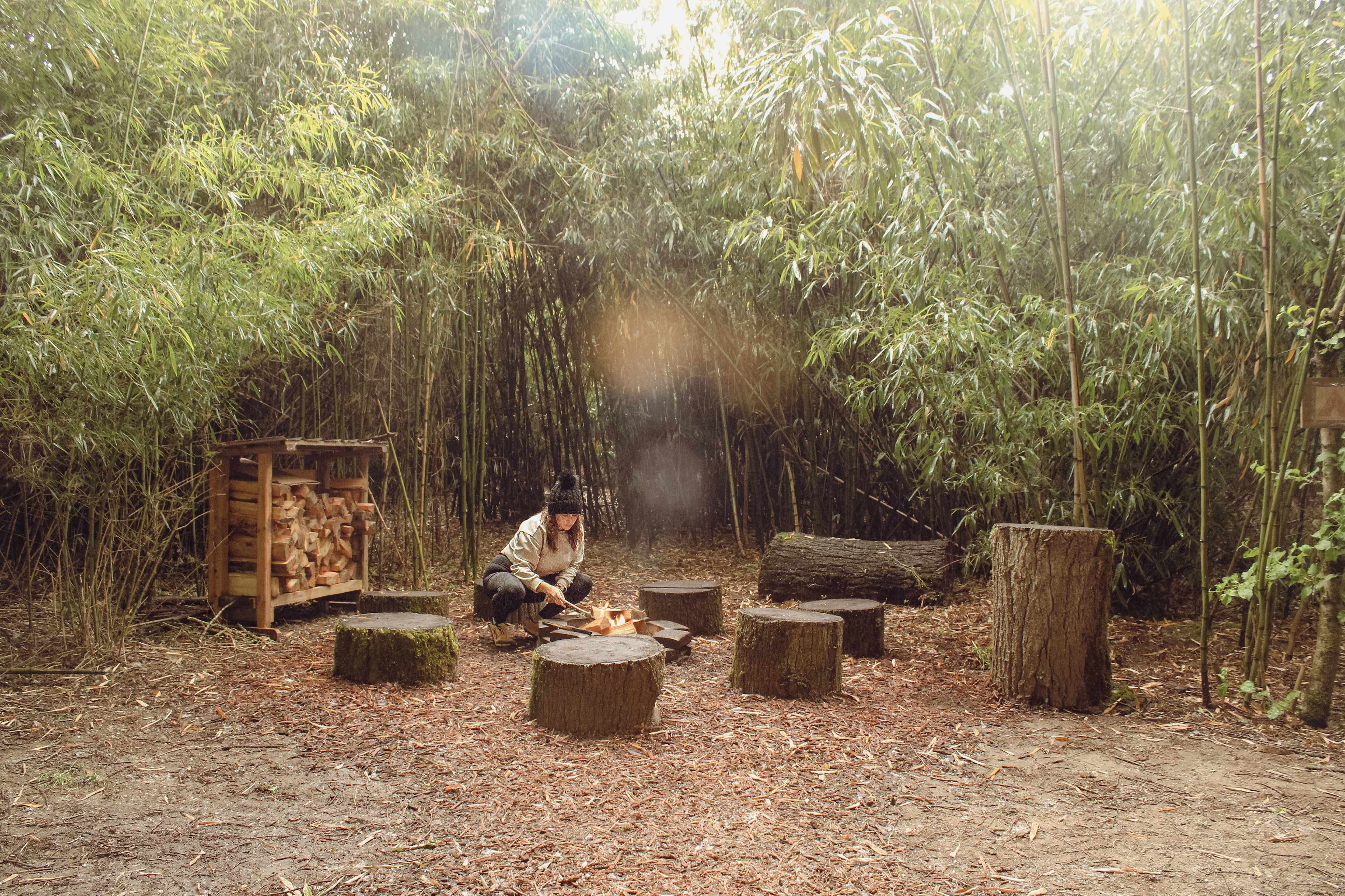 Campfire 1 with available firewood