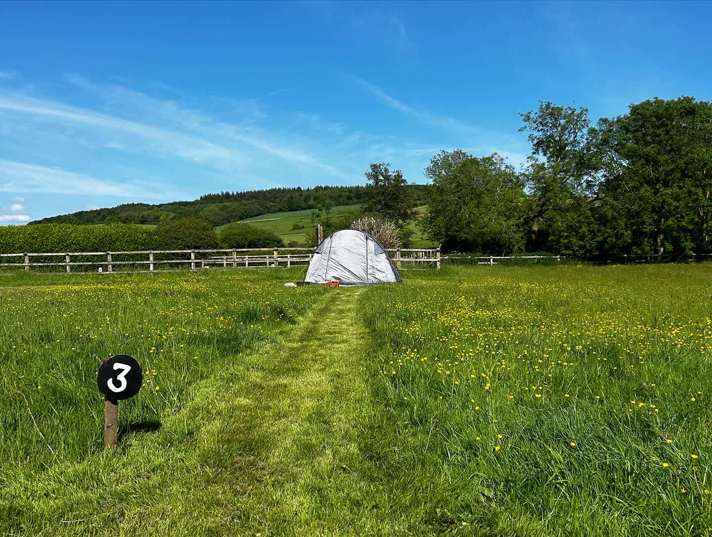 Lordington Park Camping