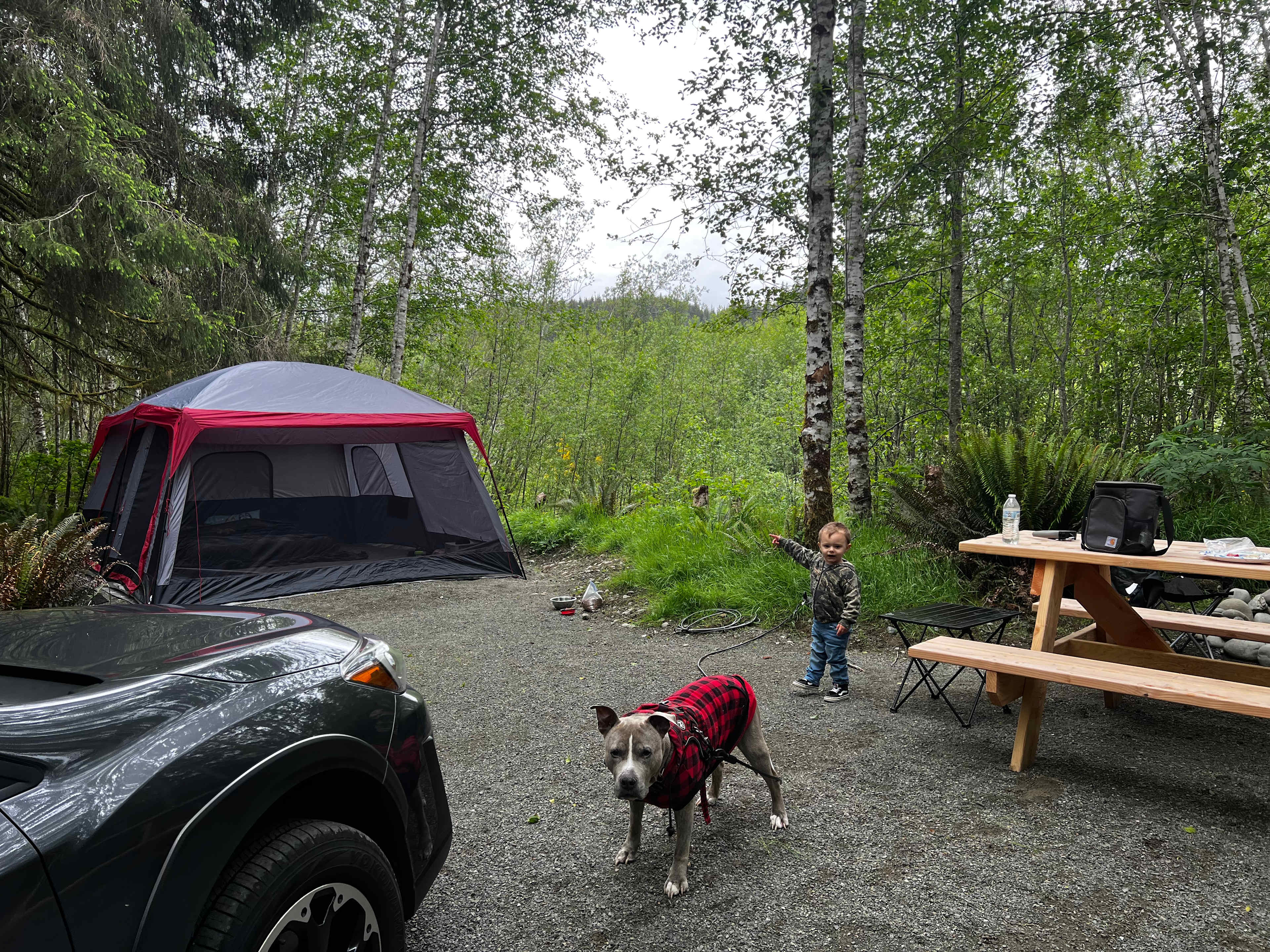 Picture of the site