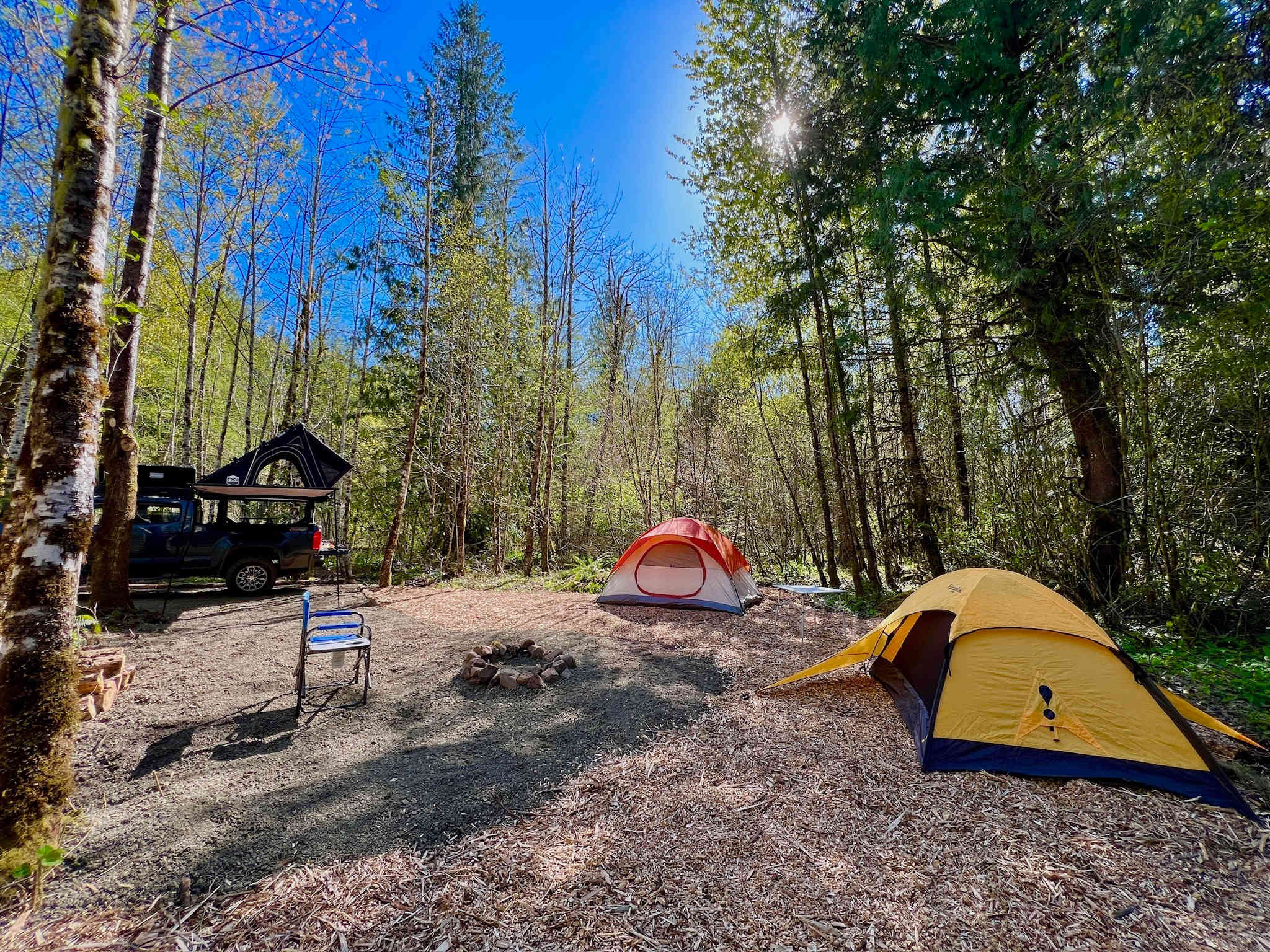 Bentwood Camp facing south, enough room for 2-3 tents. 