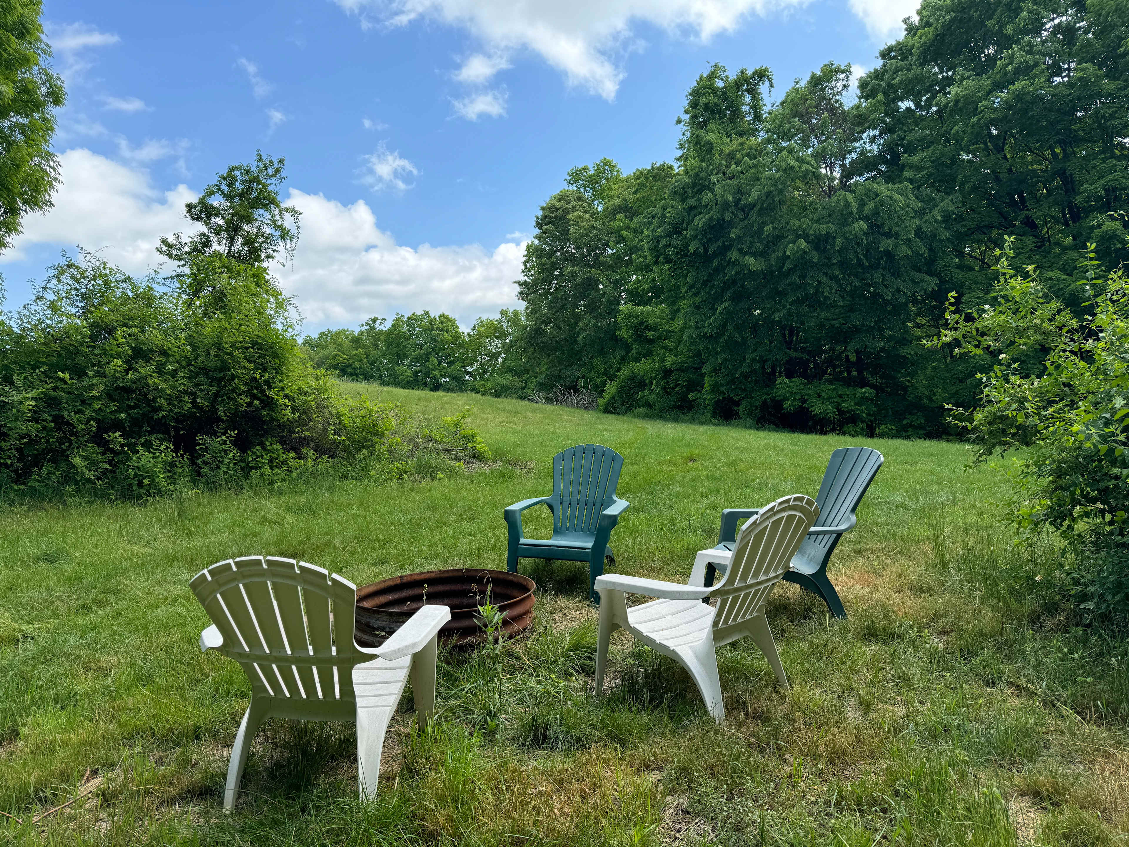 Clover Hill Farm ☘️