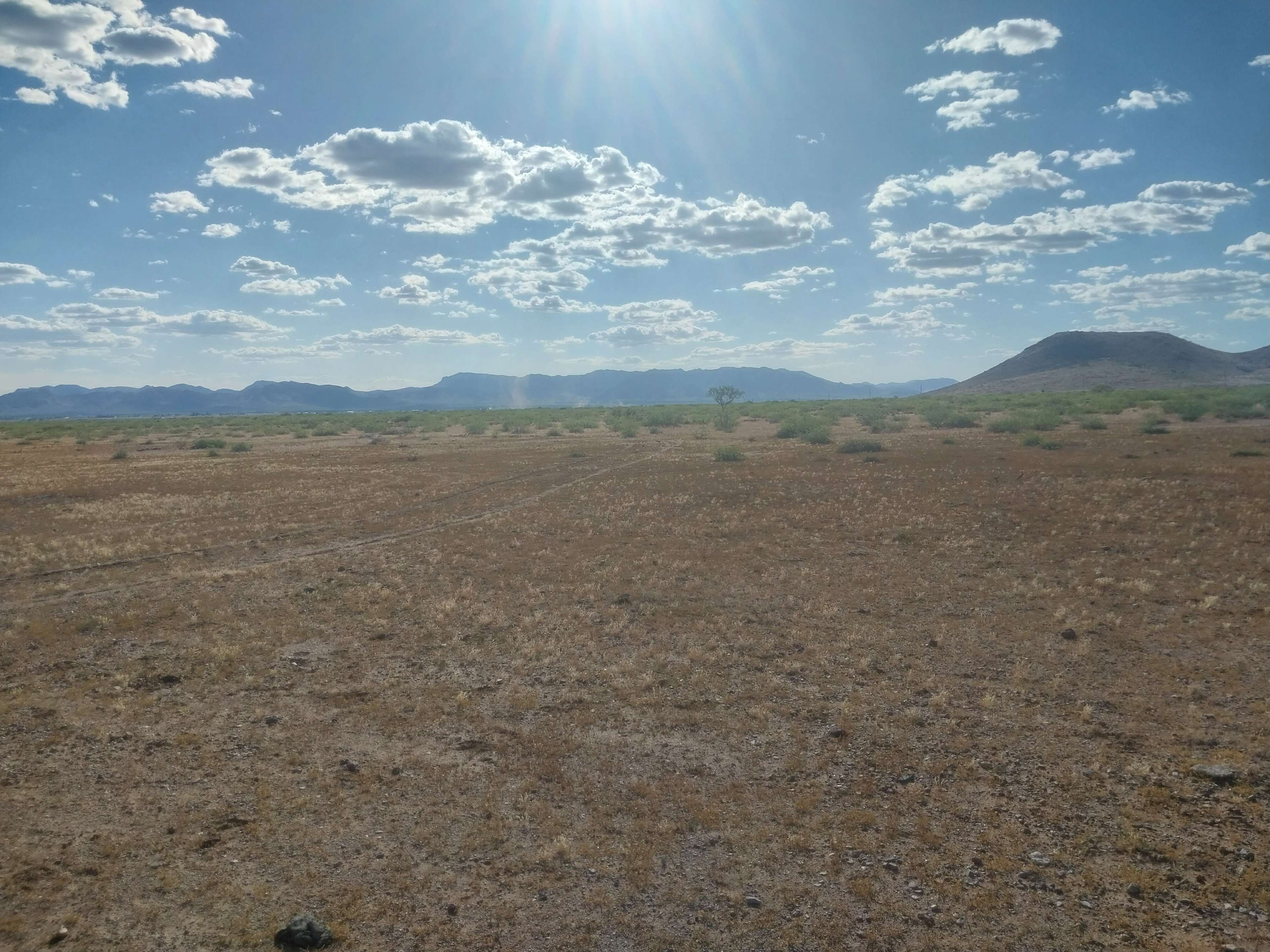 Willcox Offgrid Camping