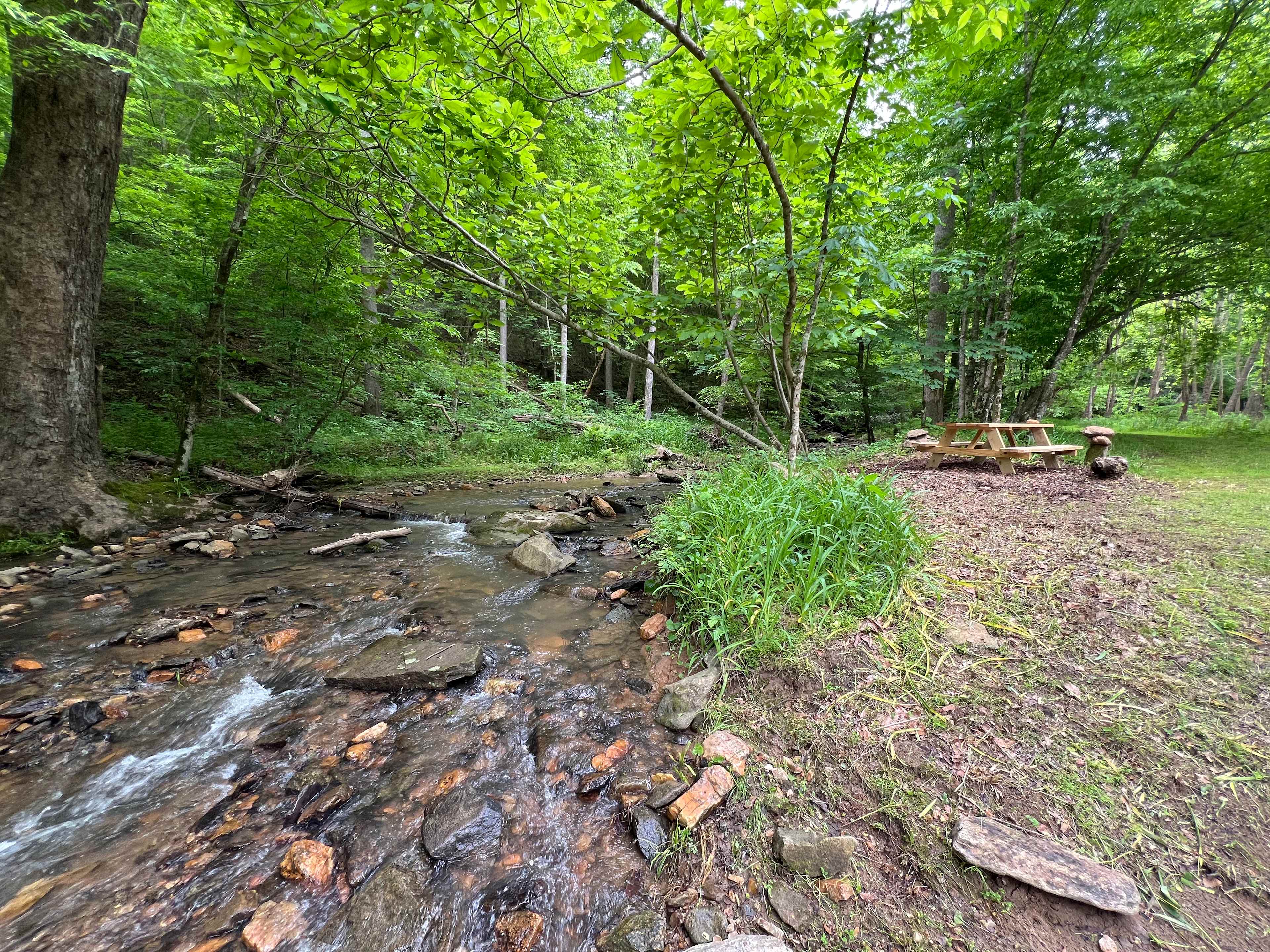 Waterfall Paradise on Paw Paw