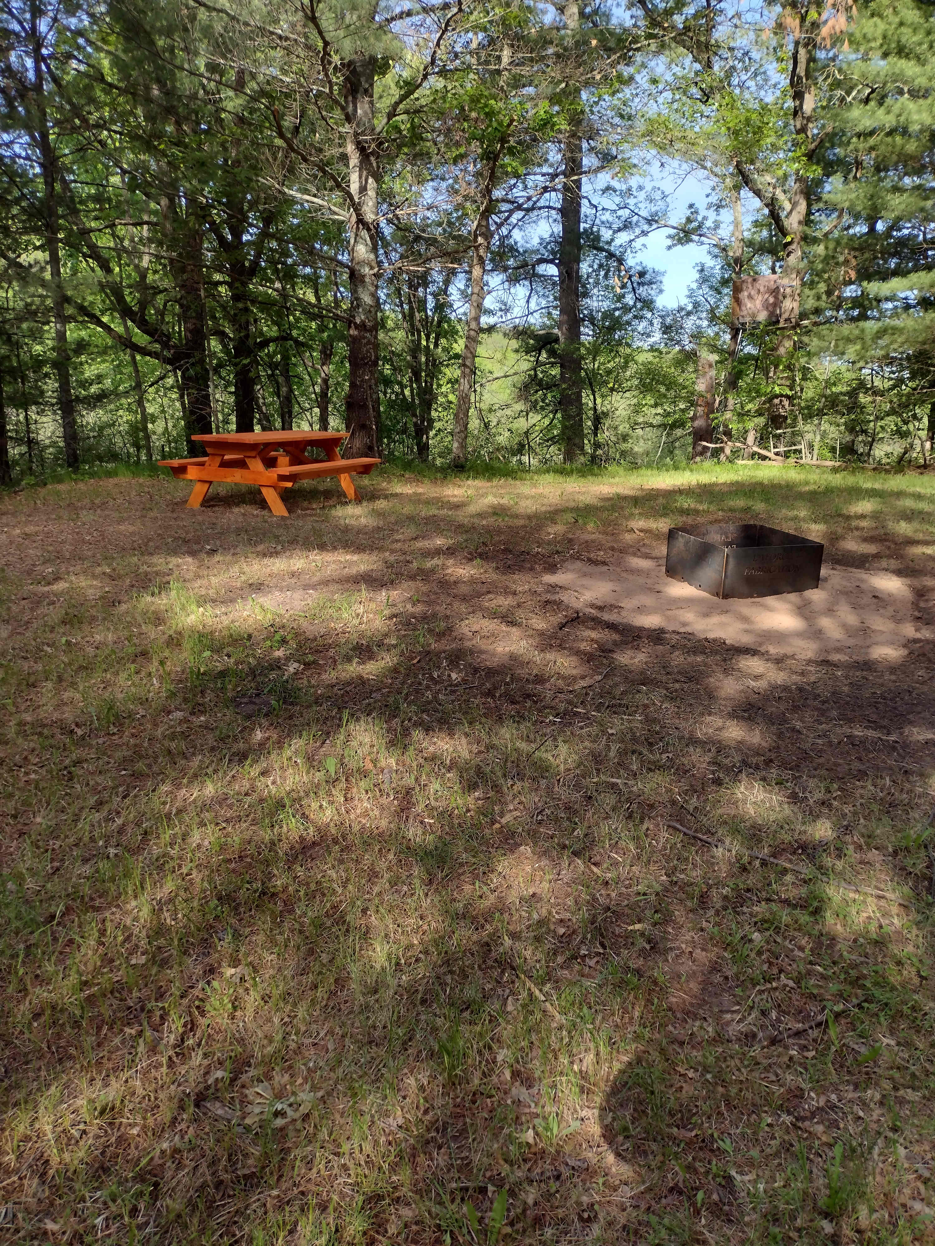 Wild Wood Acres