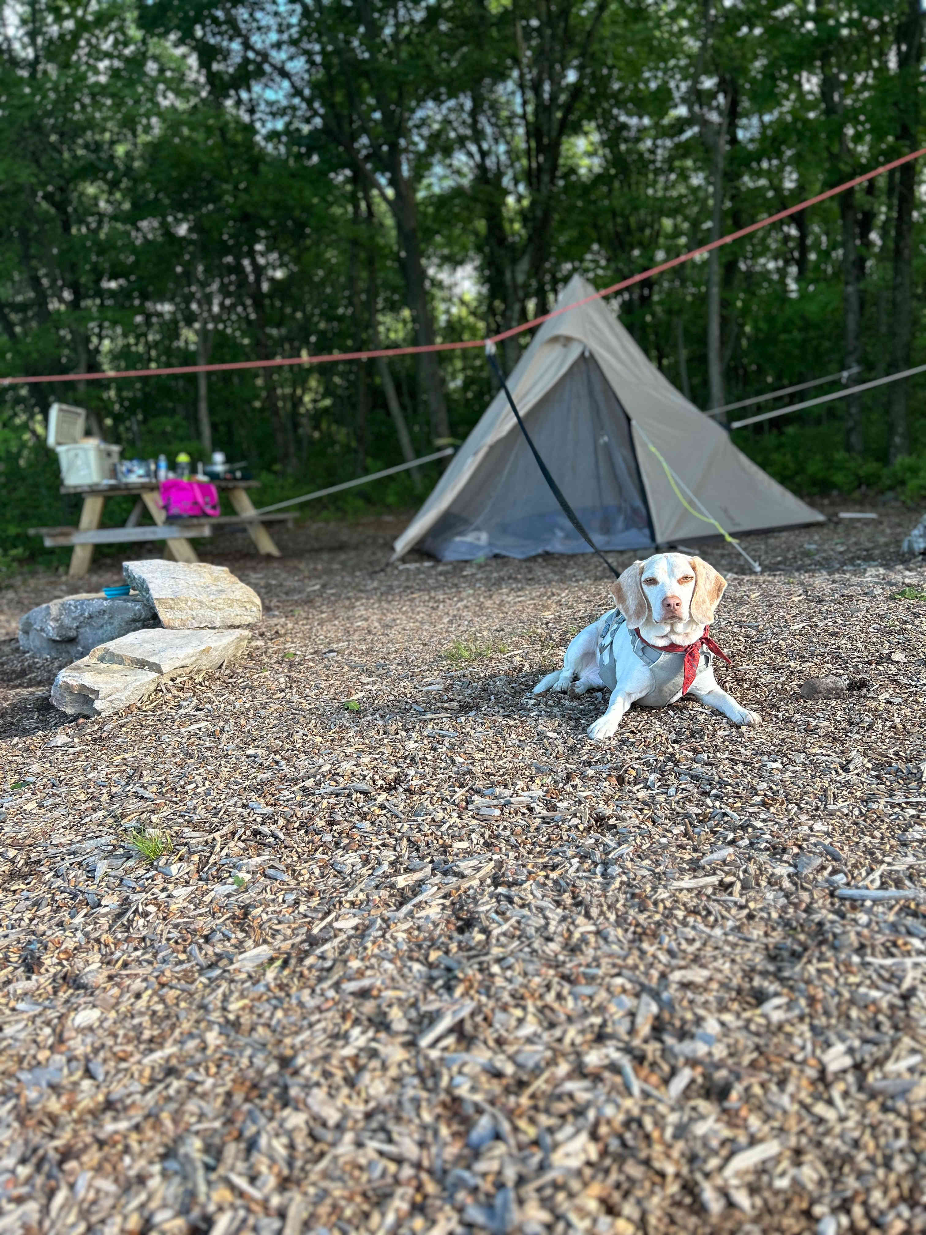 100 Mile View Camping