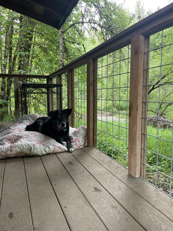 Santiam Serenity