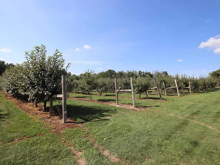 Armstrong Orchard & Spoonlickers