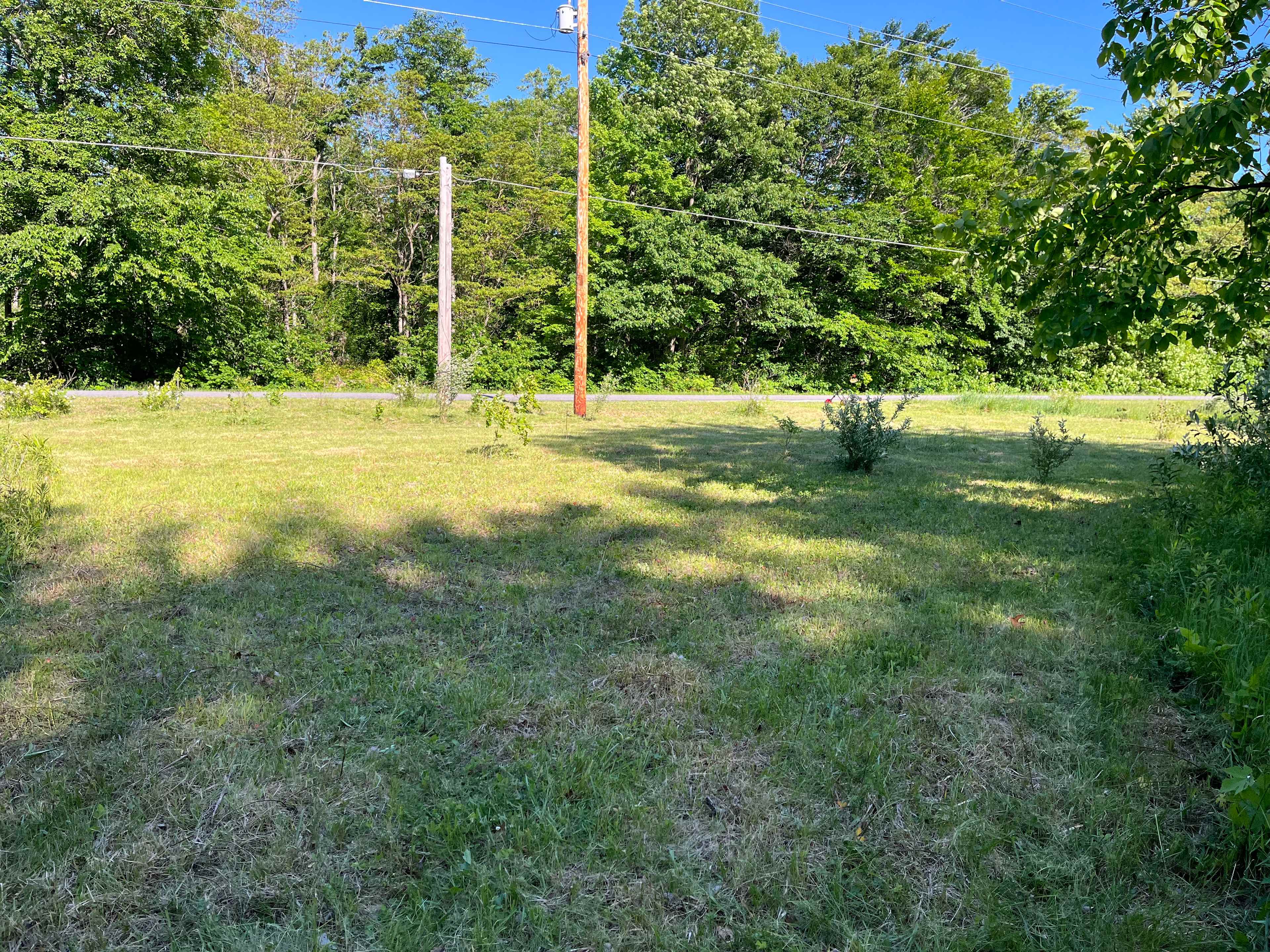 Michigan Summer Haven