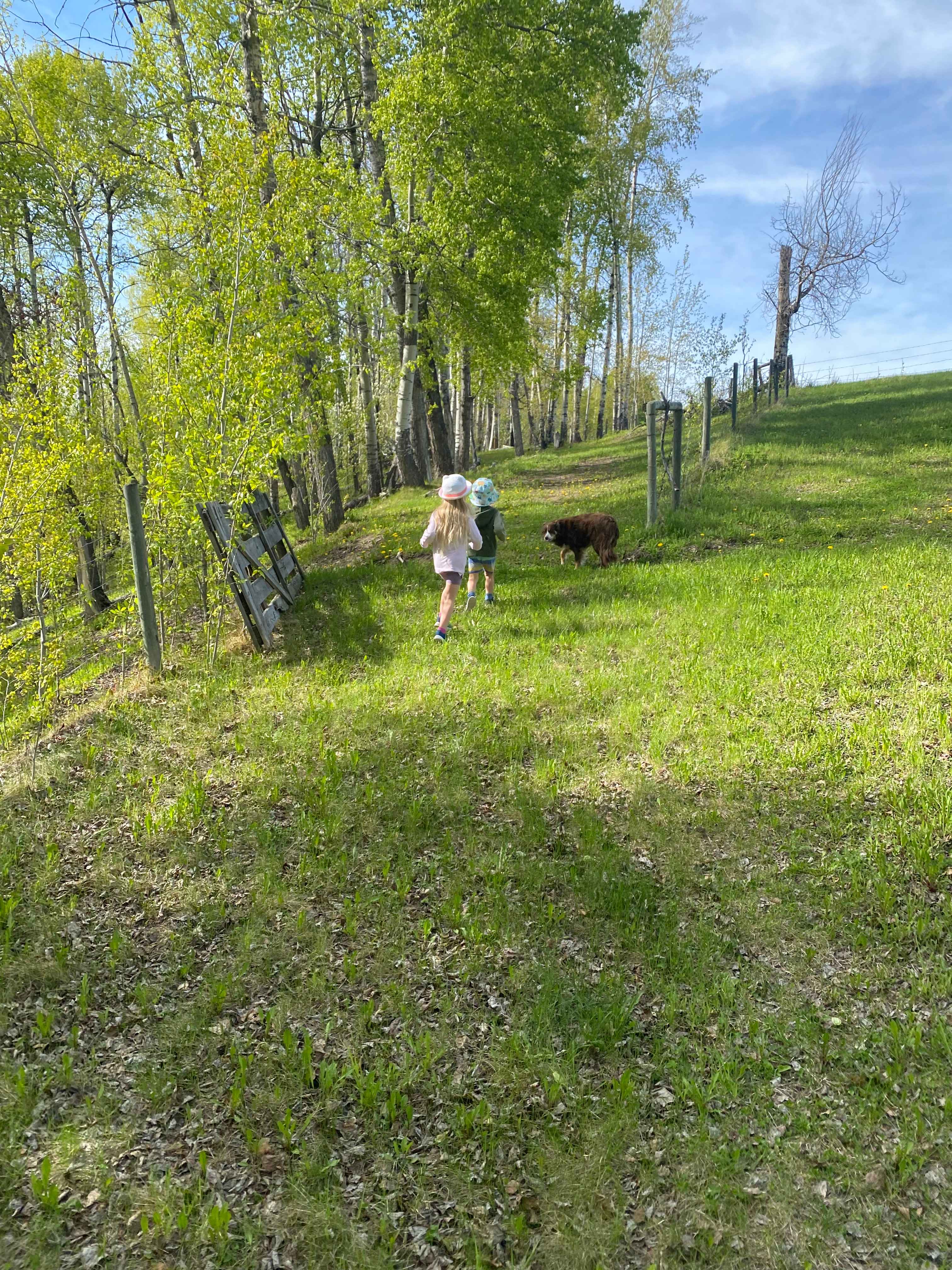Hidden Springs Retreat & Guesthouse