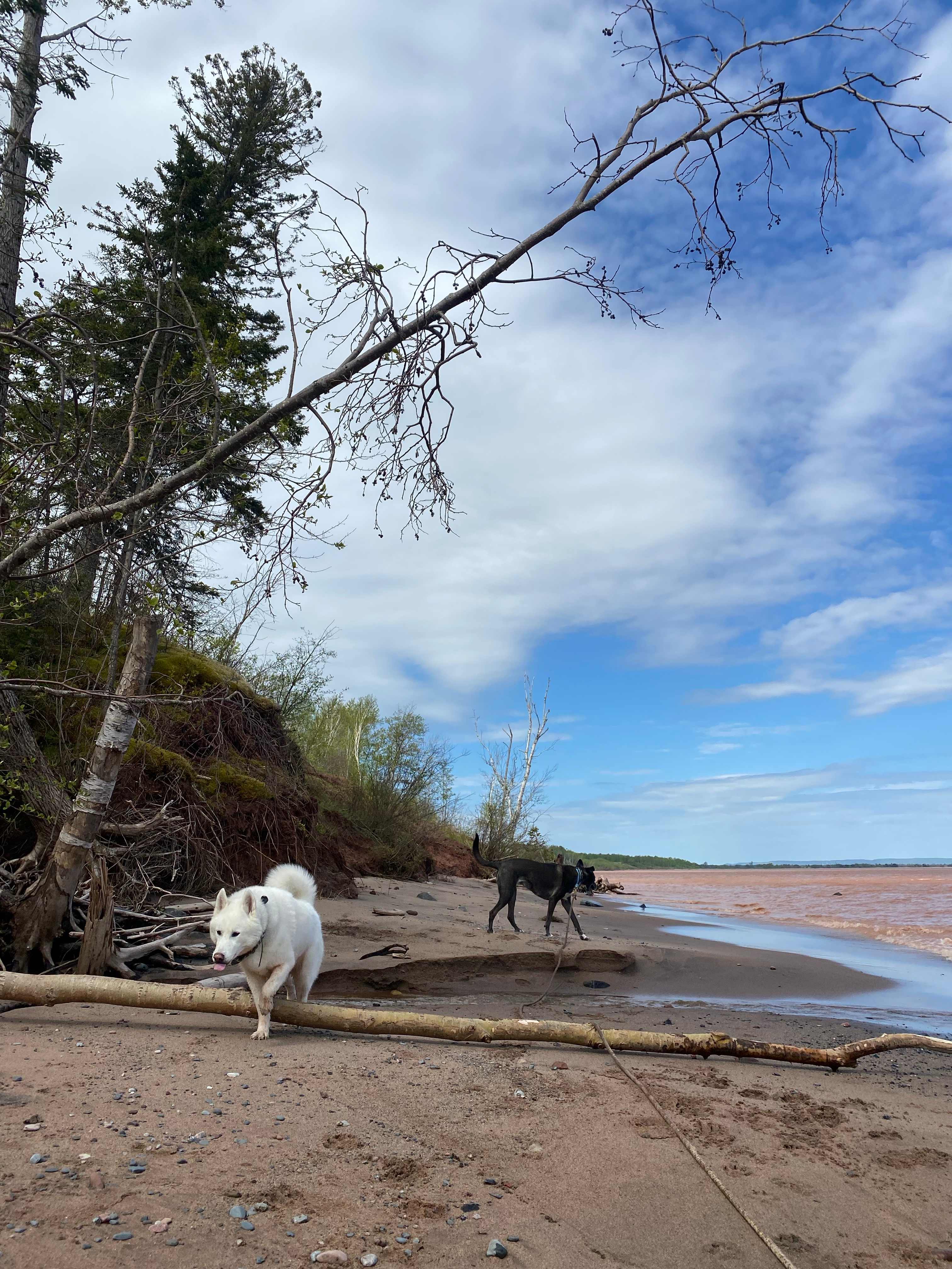 Superior Beach Camp