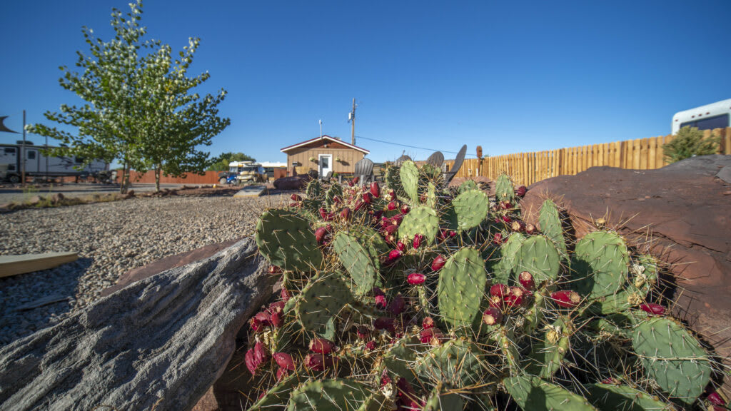 Red Rock Tiny Home Resort