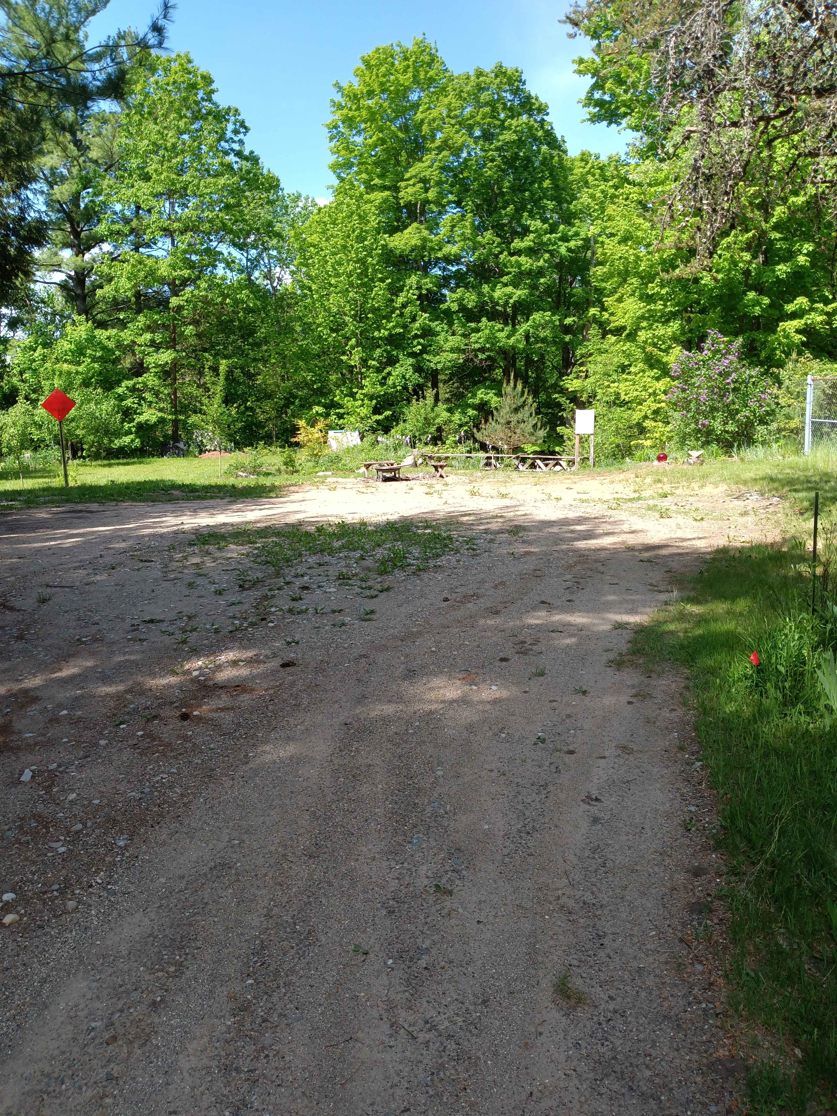 Picture of the site