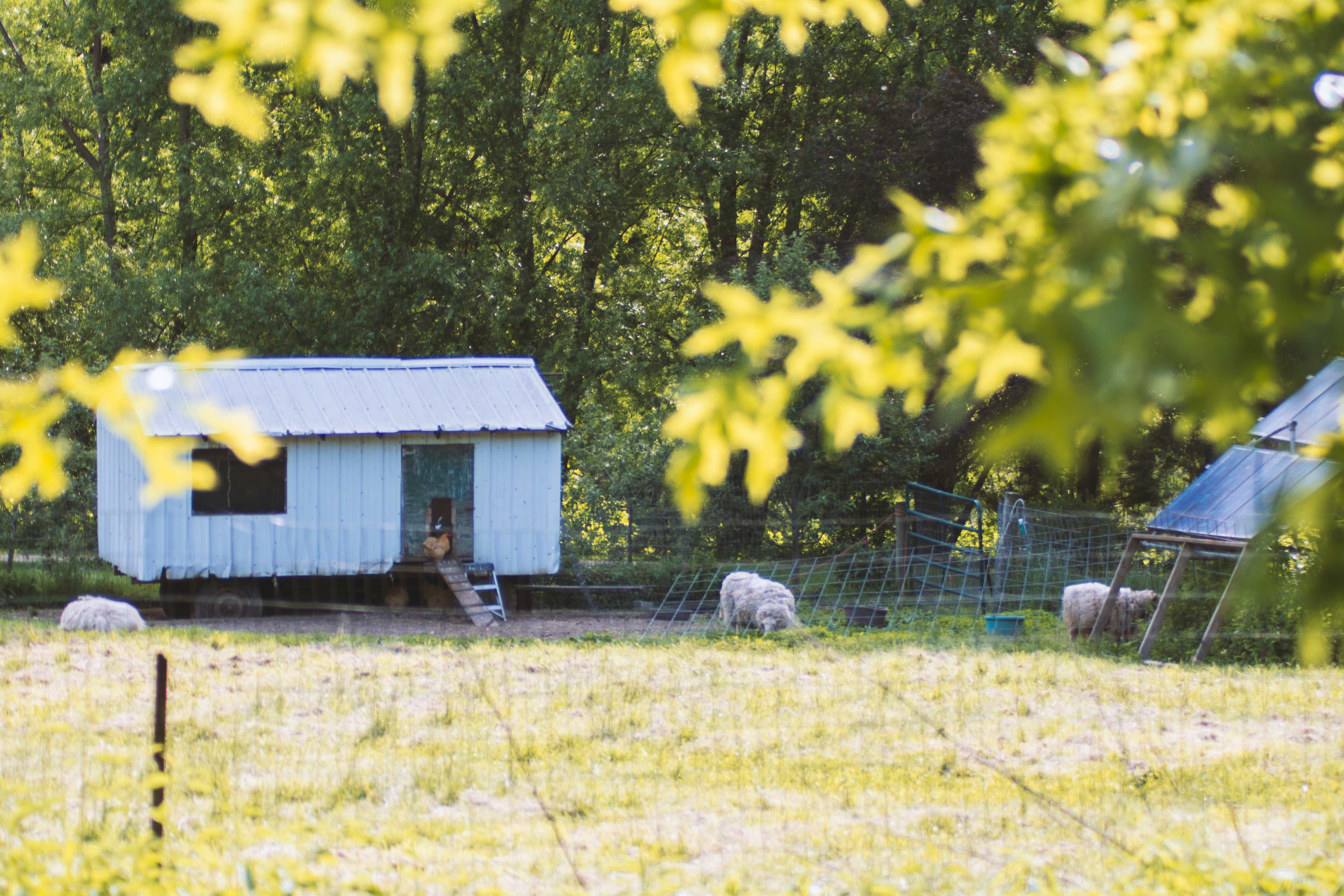 Wooded Retreat Tiny House