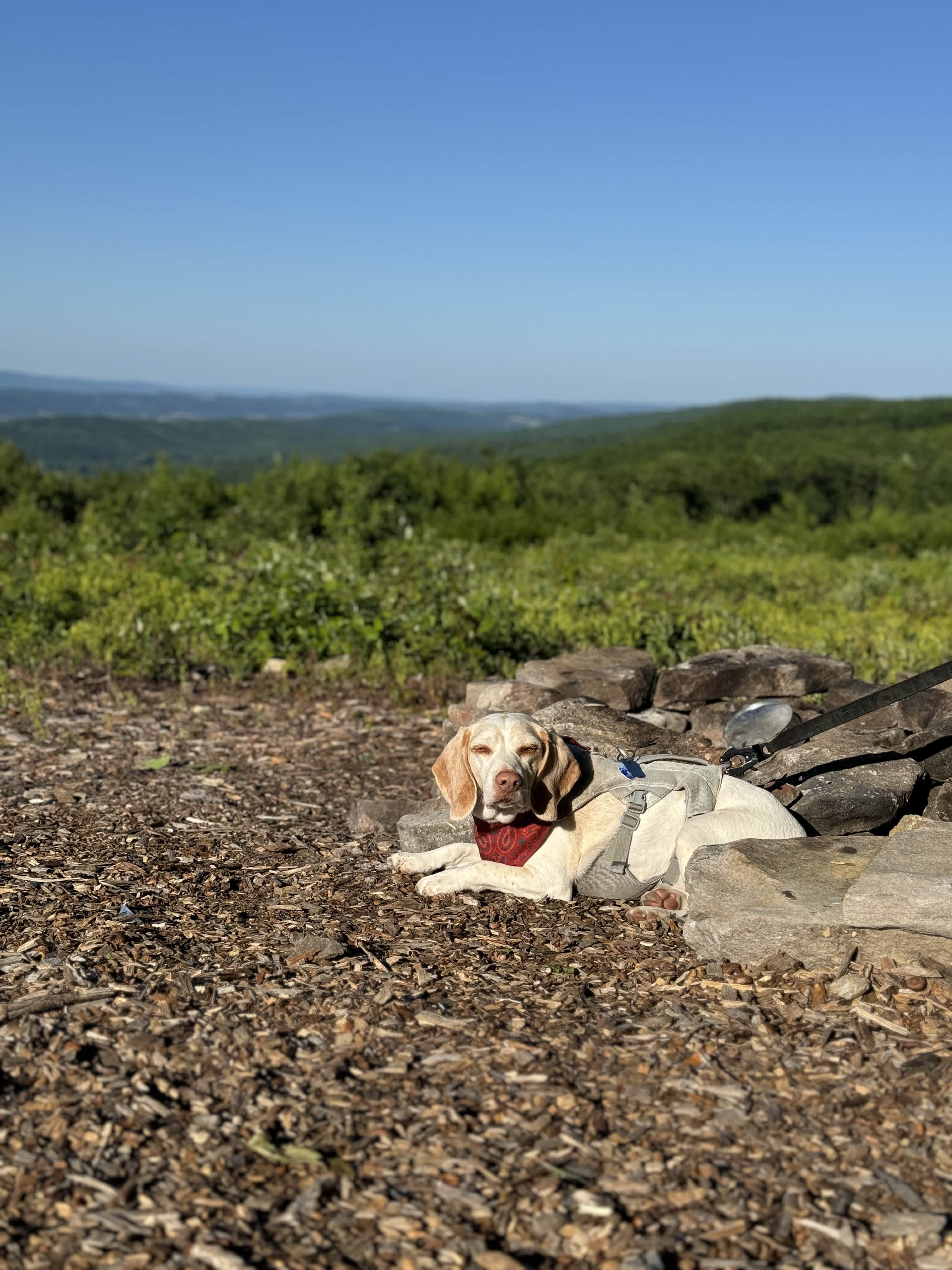 100 Mile View Camping