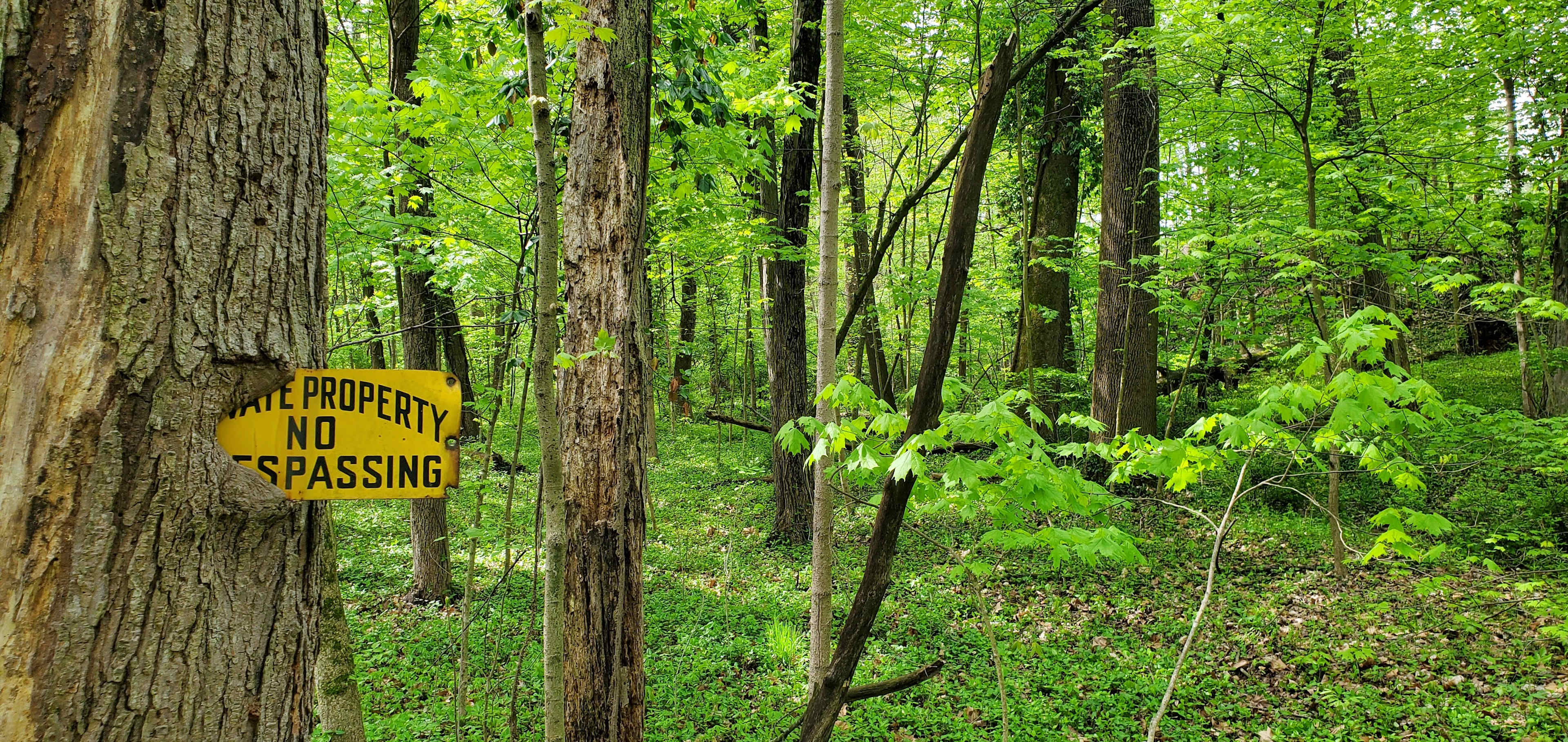 Secluded Peaceful Lot Creek &Ravine