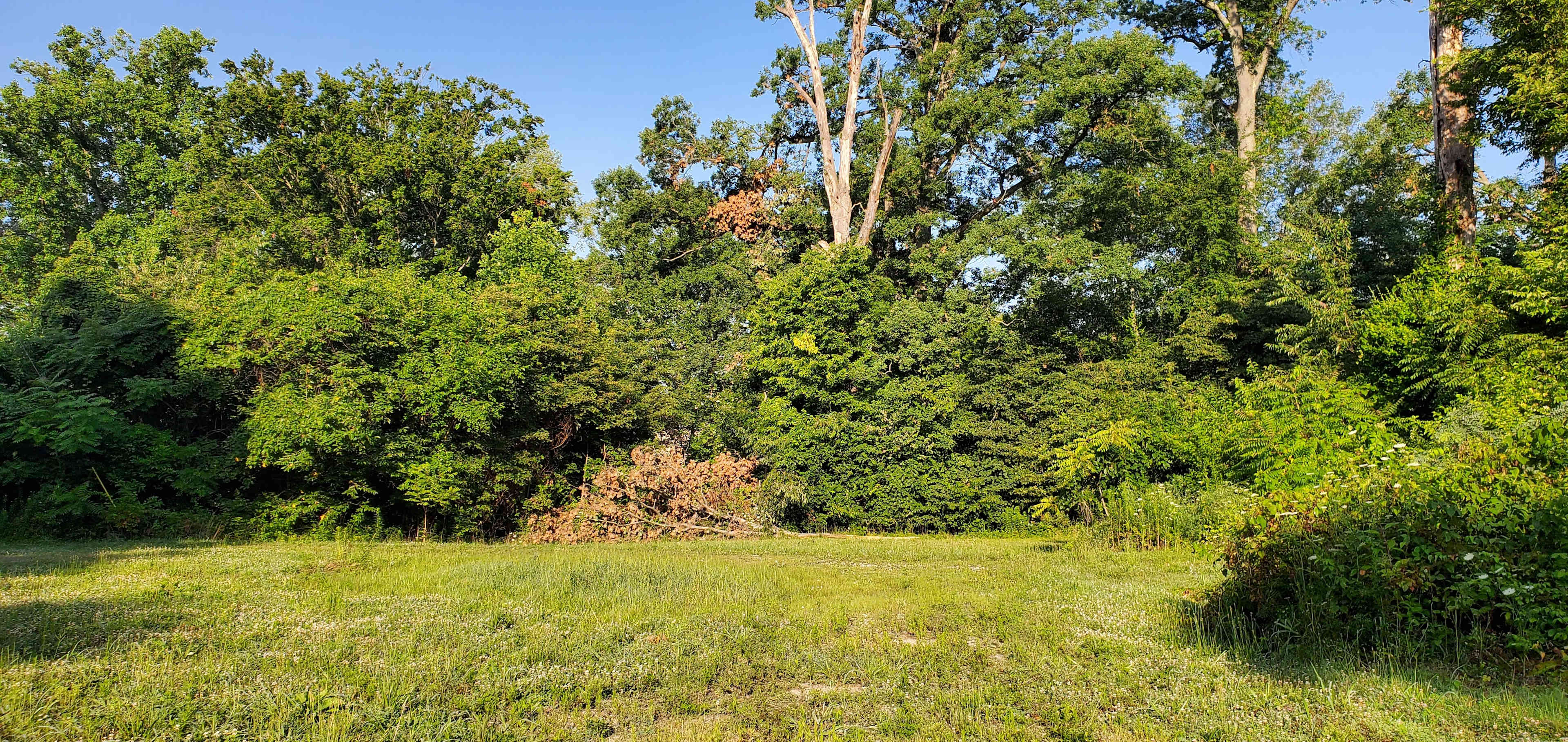 Secluded Peaceful Lot Creek &Ravine
