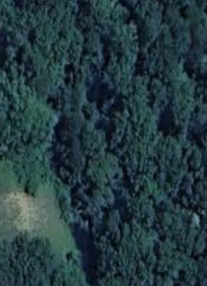 Secluded Peaceful Lot Creek &Ravine