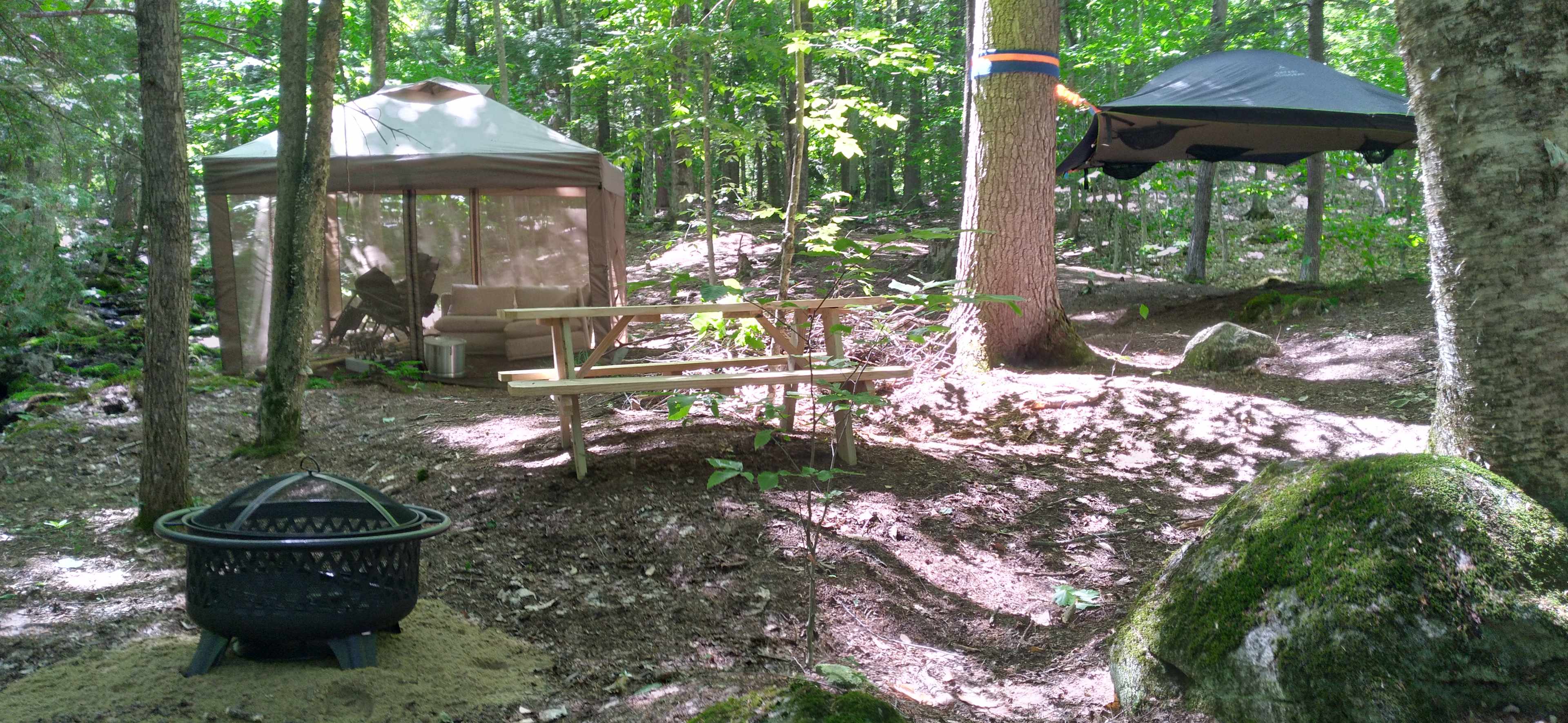 Camp Wild At Bobcat Rock