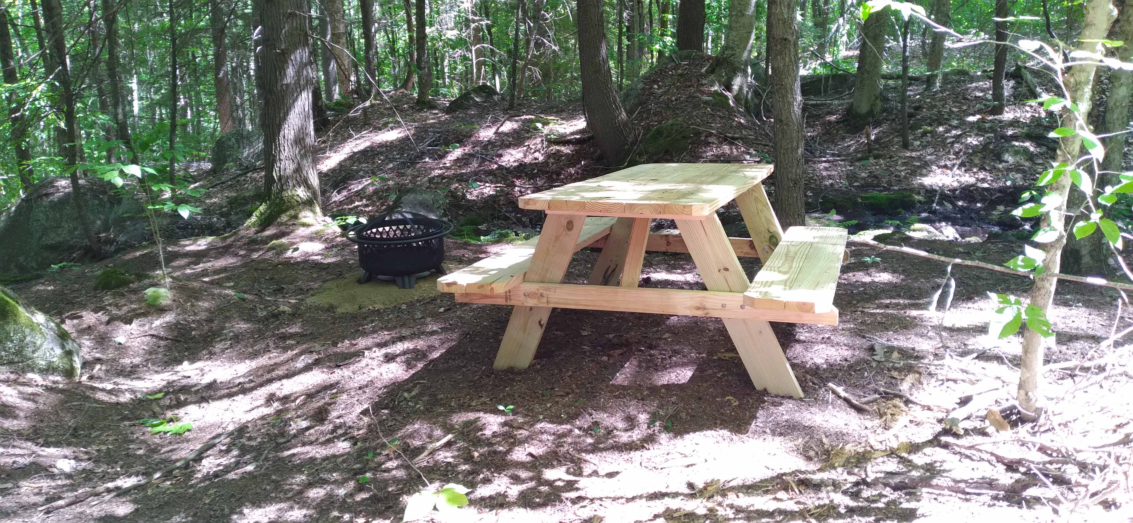 Camp Wild At Bobcat Rock