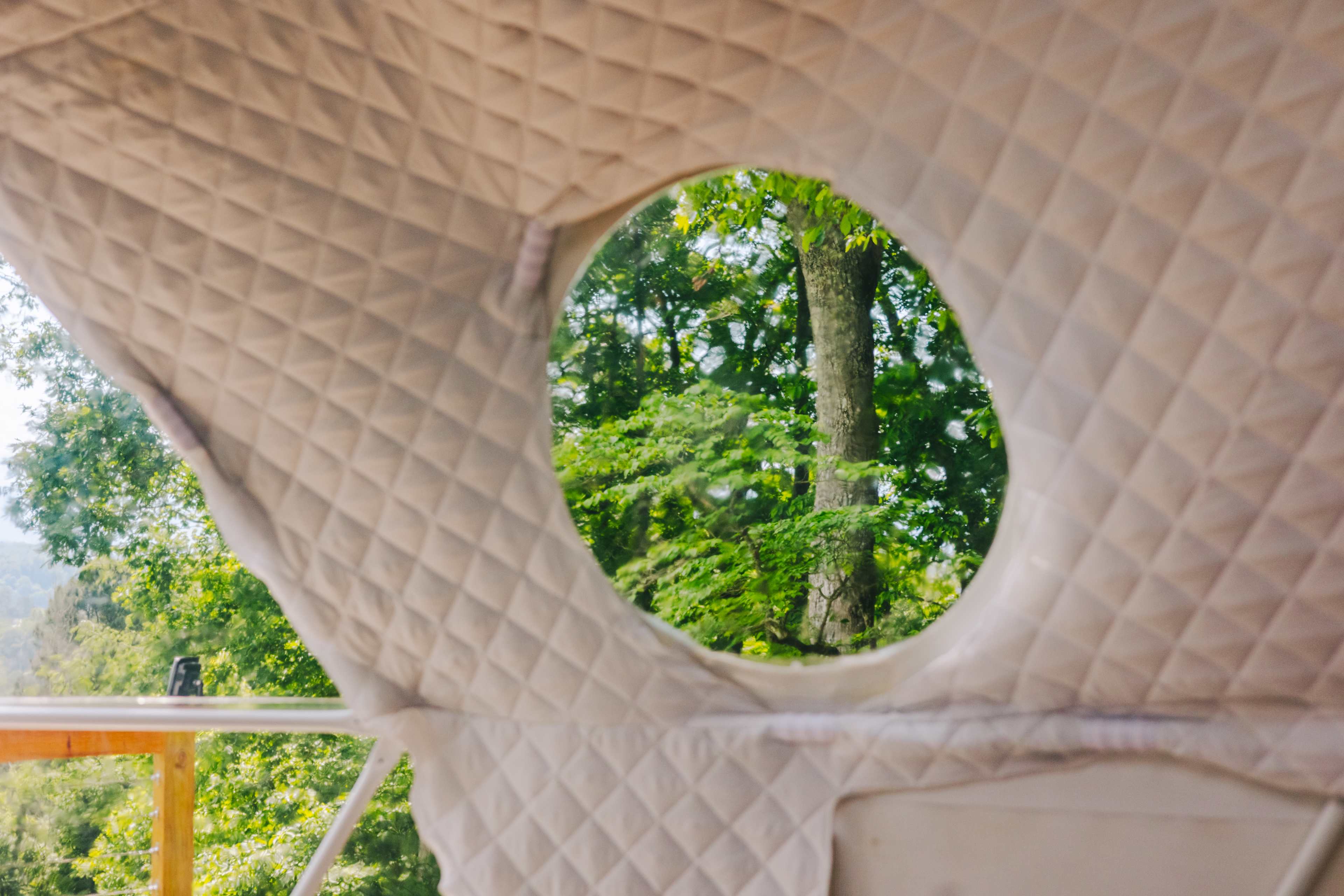 Views from inside the tent. 