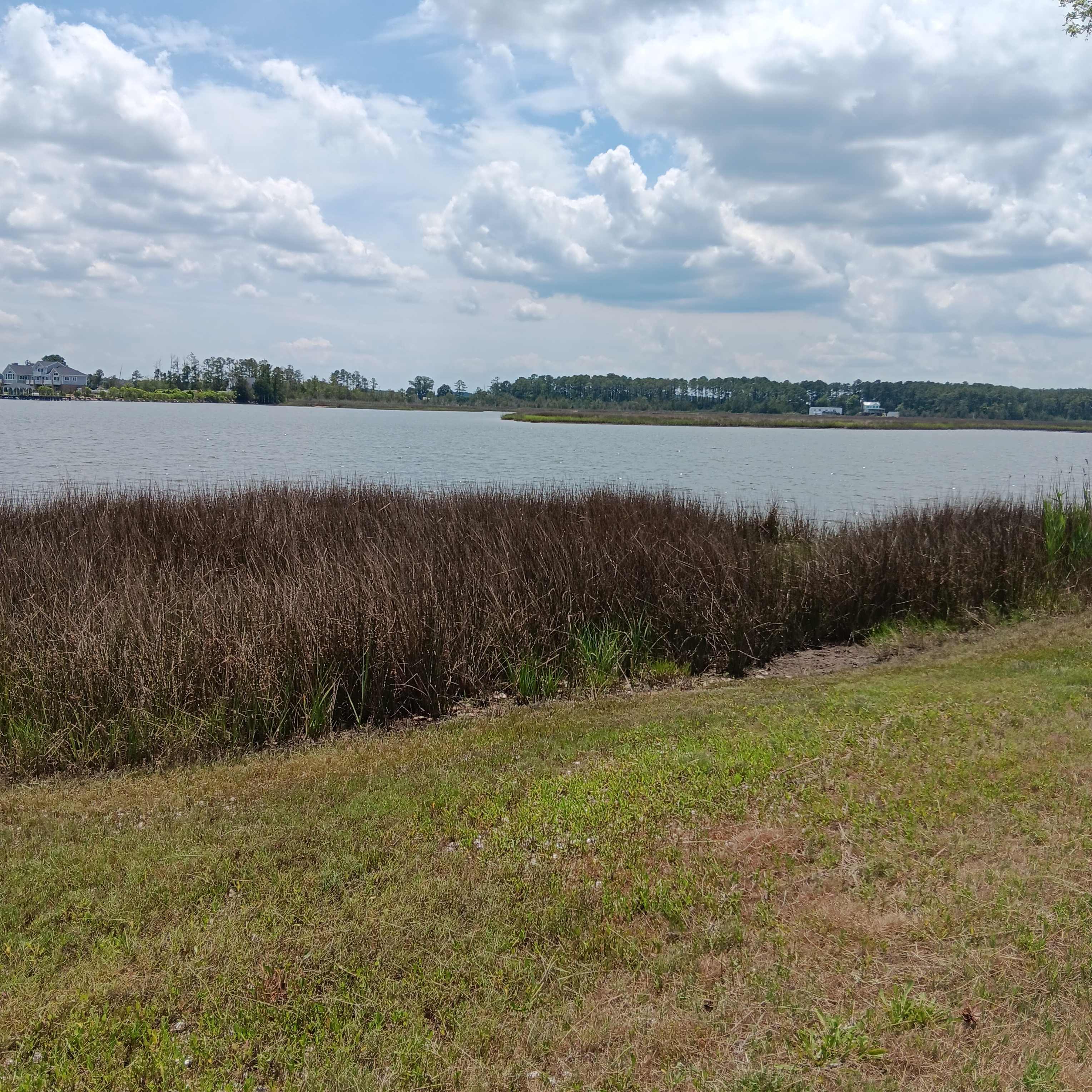 The Oysterhouse Landing
