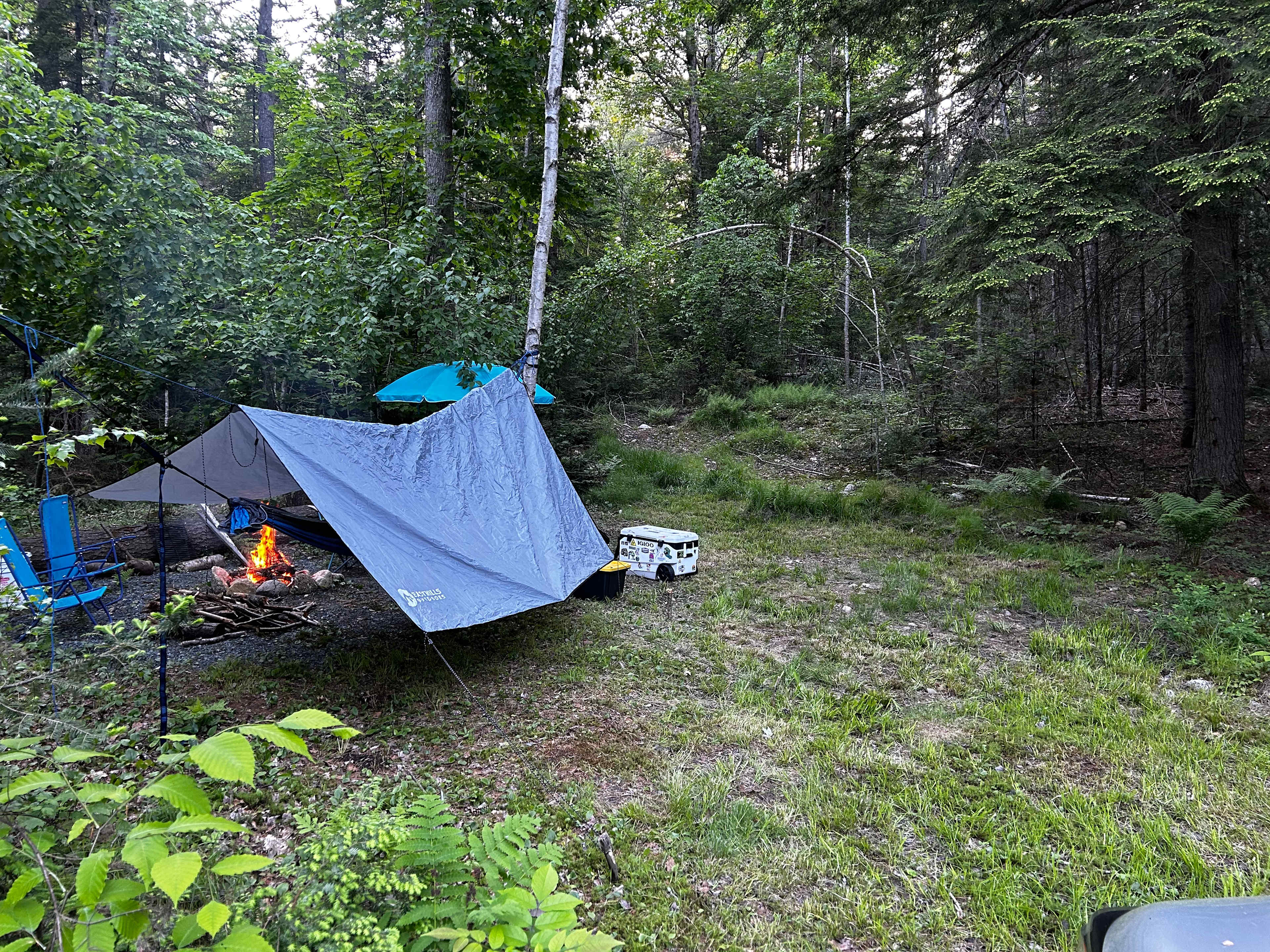 Picture of the site