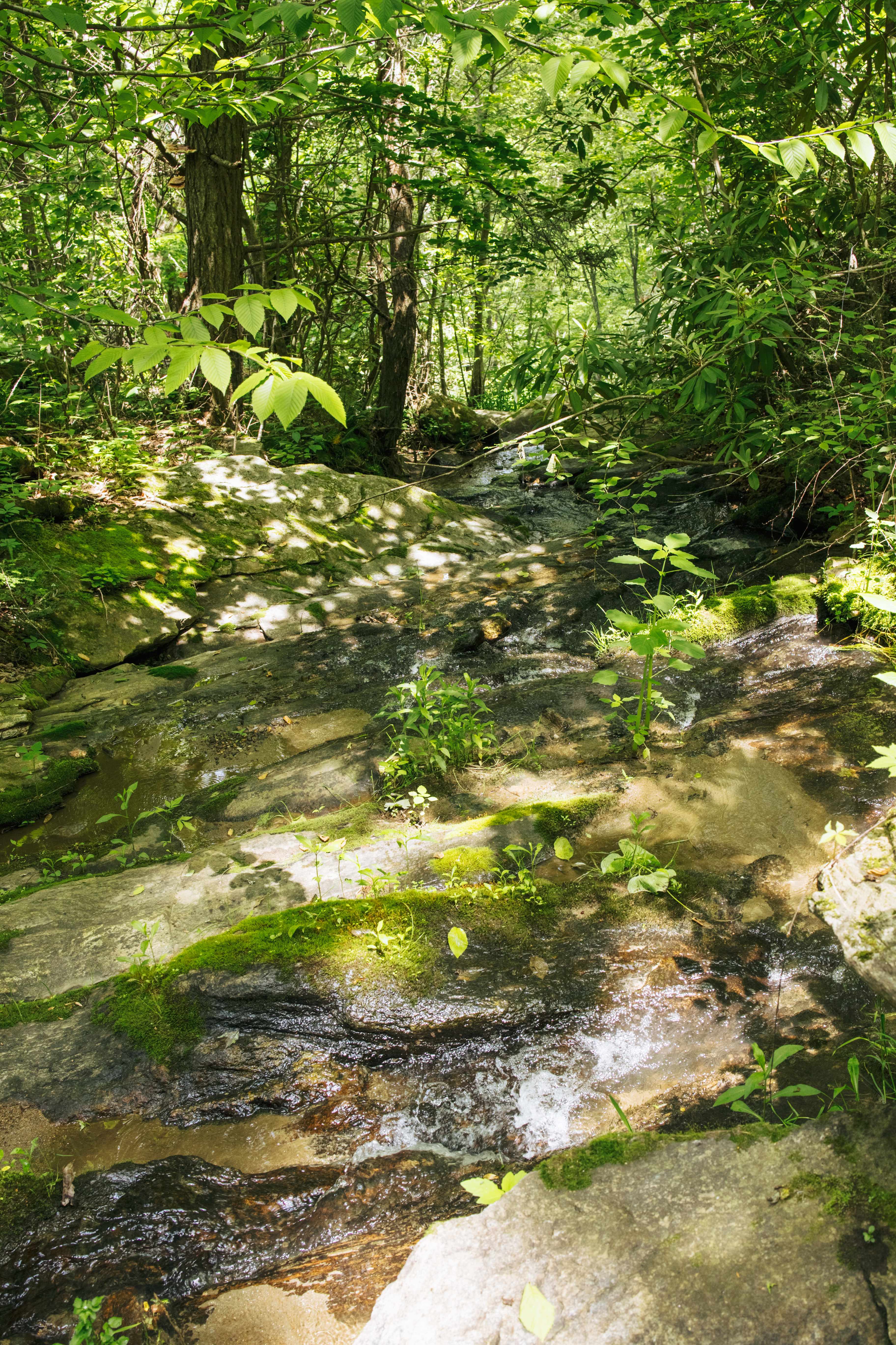 A small waterfall marks the entrance to the property. Explore at your own risk! 