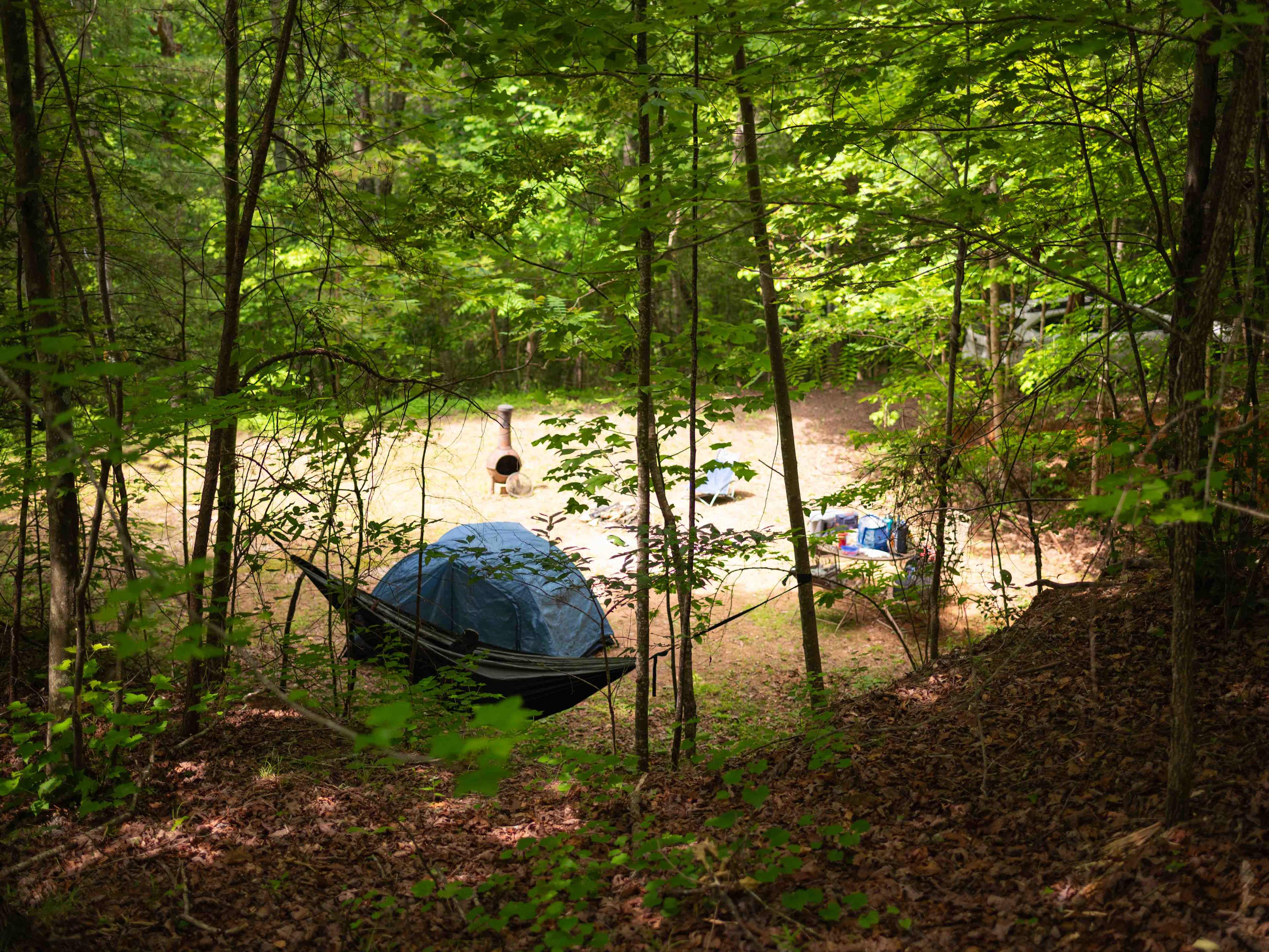 View of campsite from the walking/driving path looping around to the upper site. Plenty of walking options!