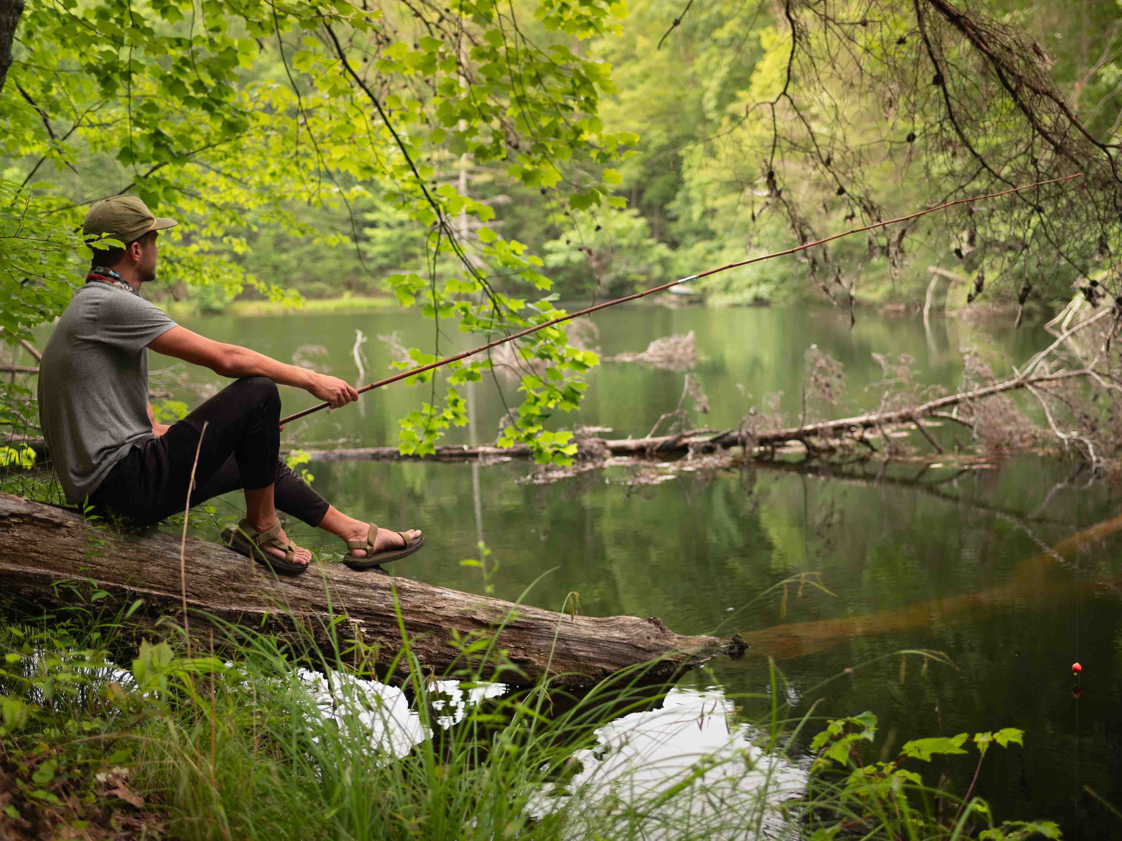Wooded Camping at Pond