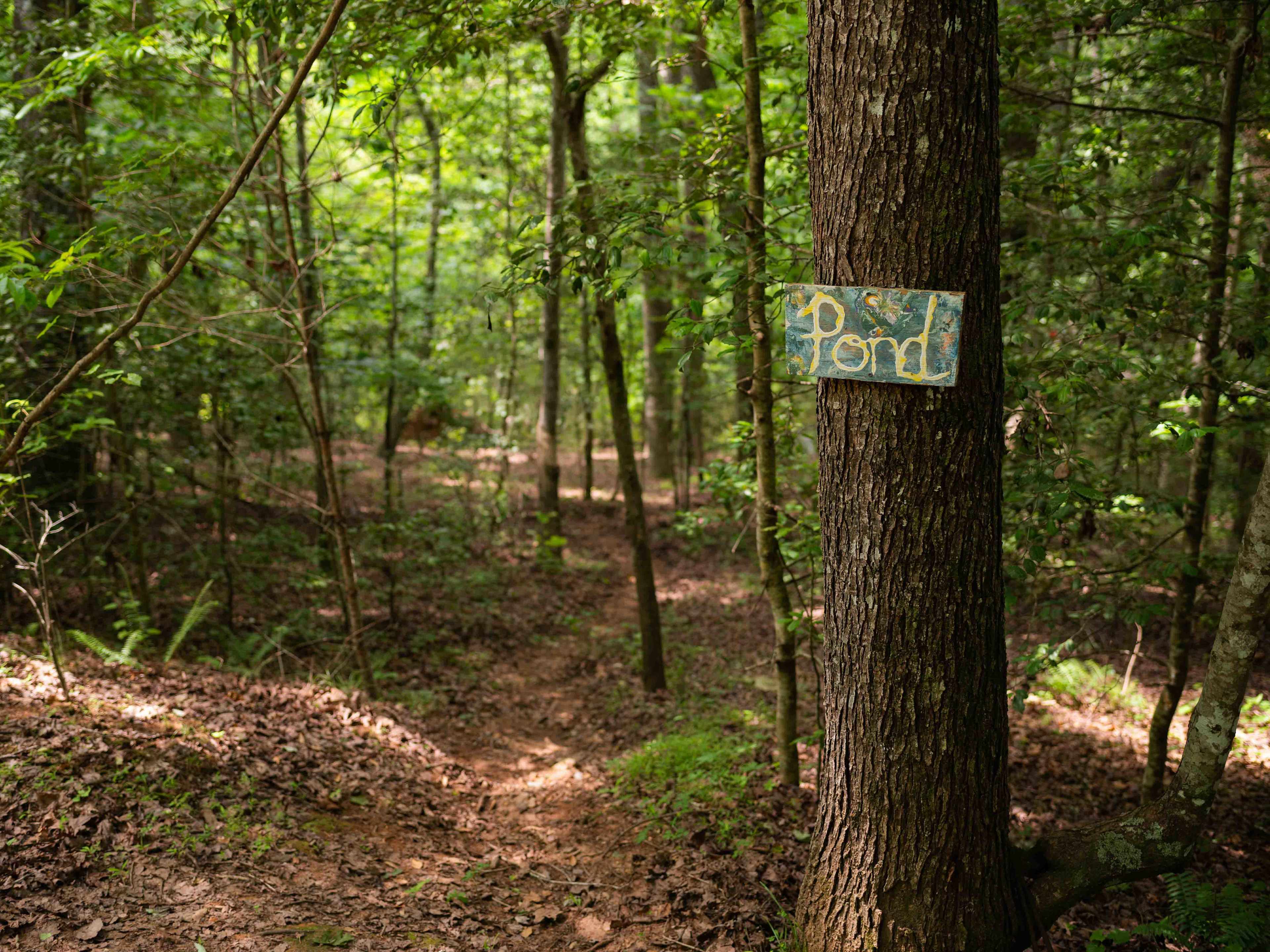 Wooded Camping at Pond