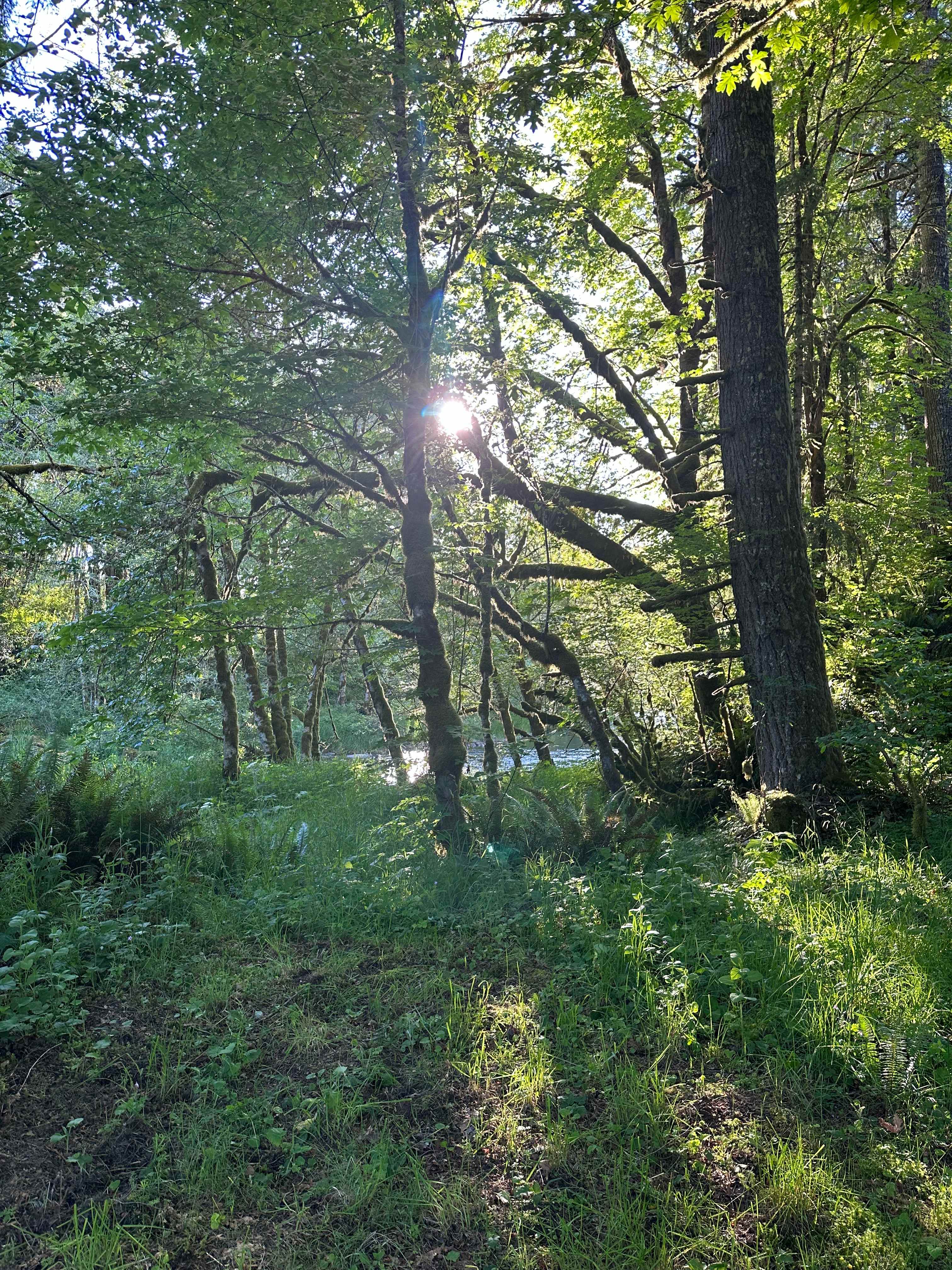 Keesee River Property