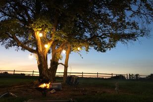 Treloar Ranch