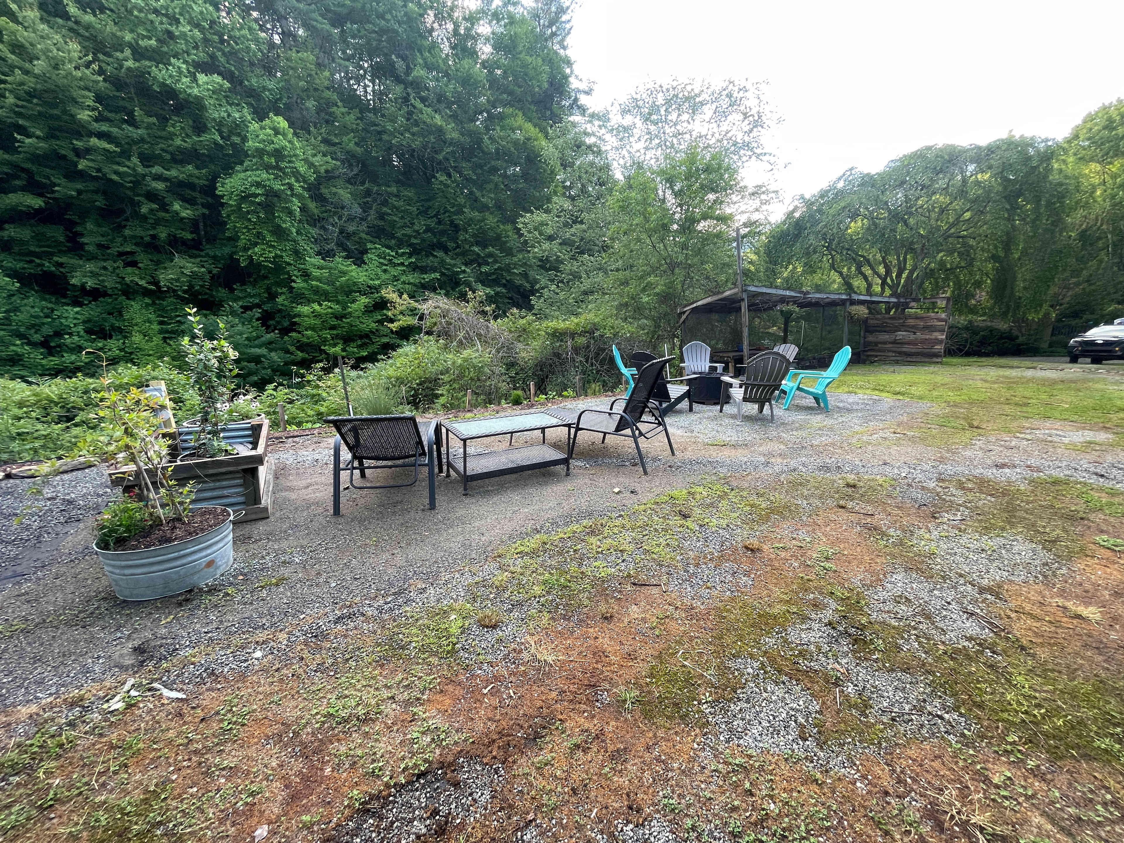 Picture of the site
