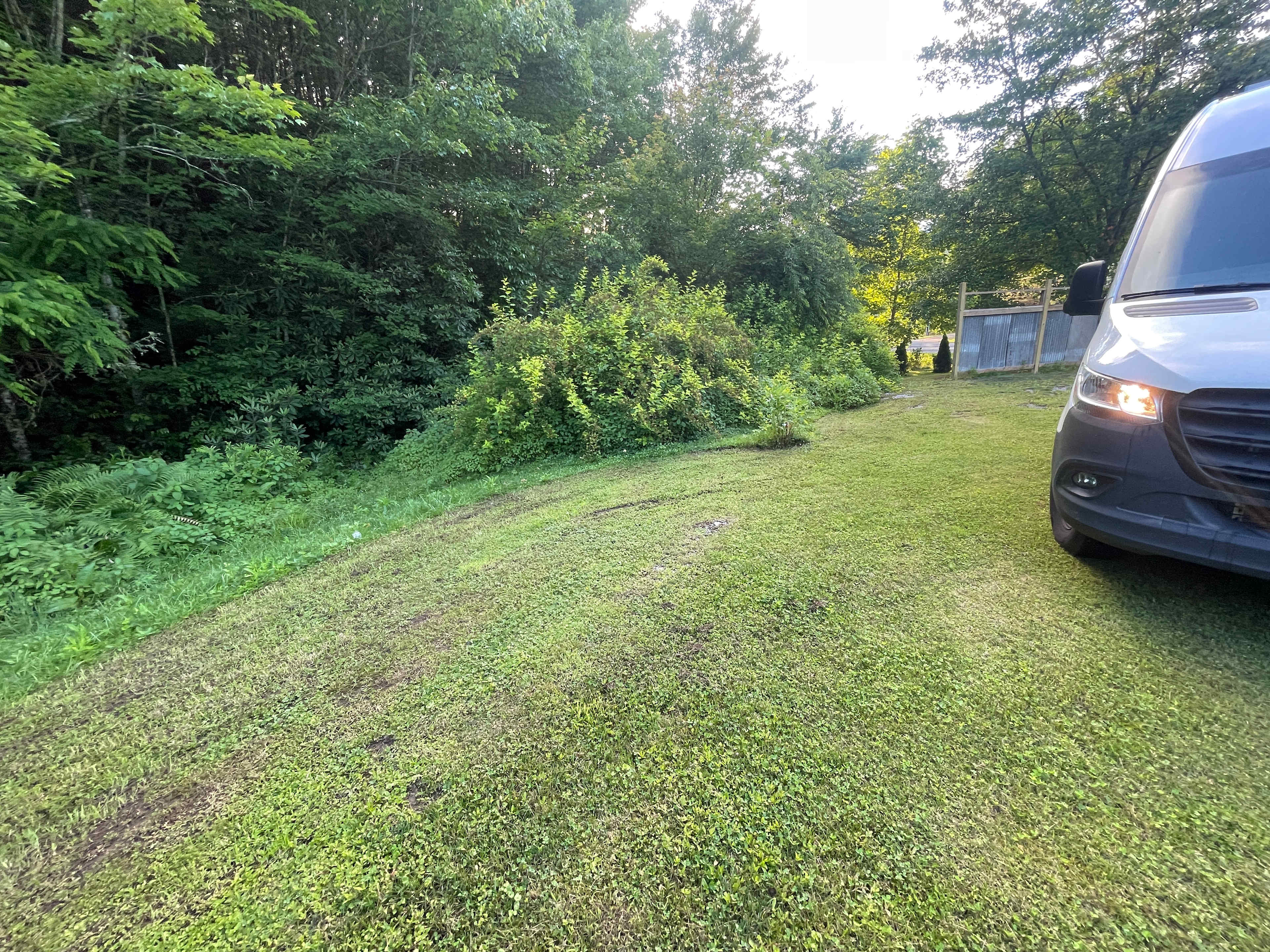 Picture of the site