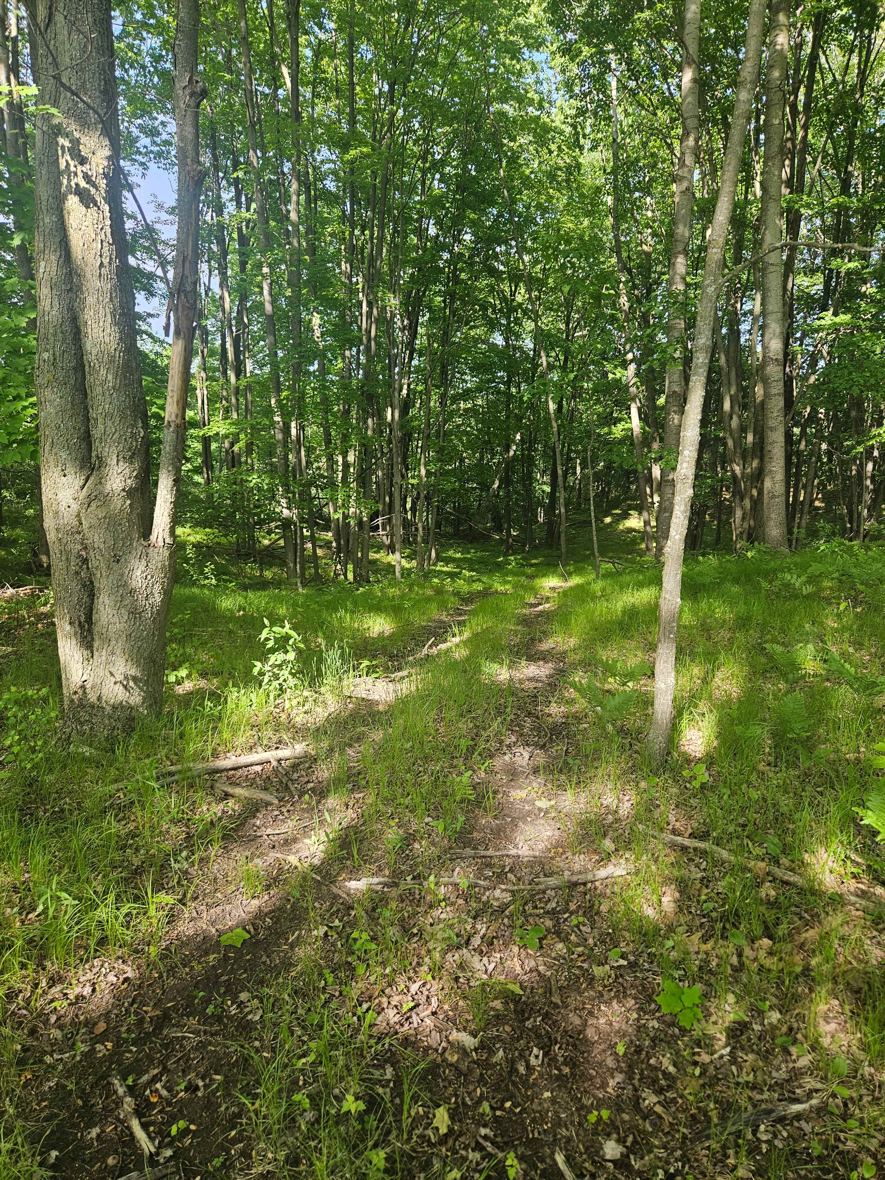 Corner Creek Ranch